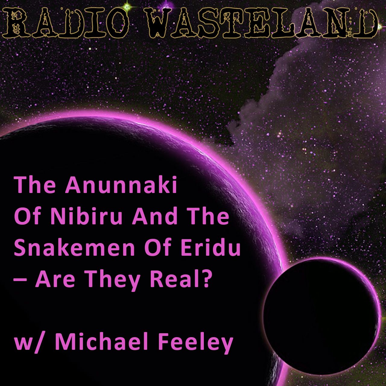 The Anunnaki Of Nibiru w/ Michael Feeley