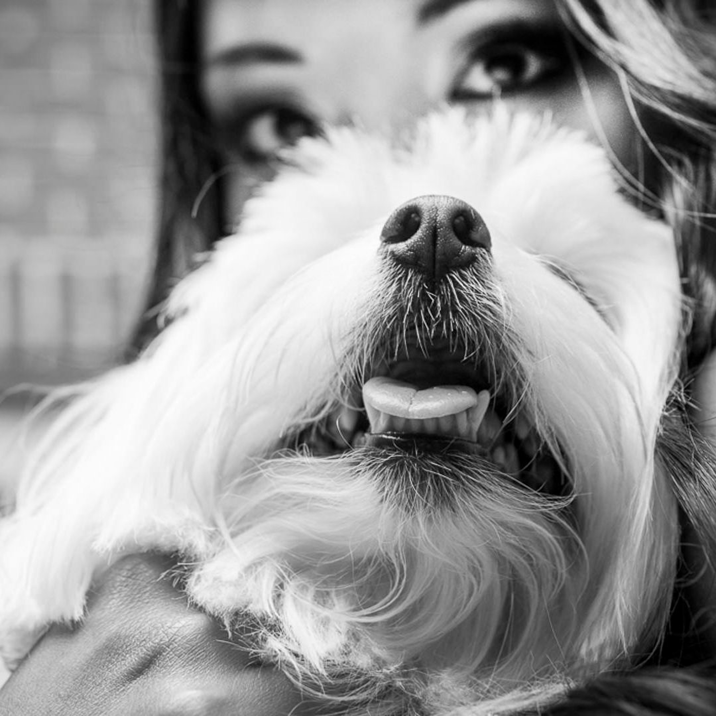 Kristi Odom Interview with the School of Wedding Photography