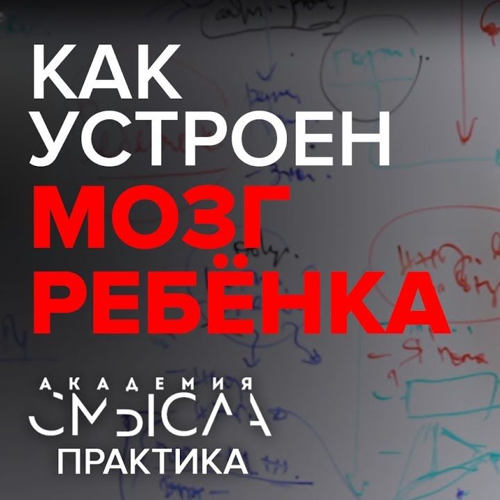 Как формируется психика человека. Факт-карта. Как формируется психика человека. Факт-карта.