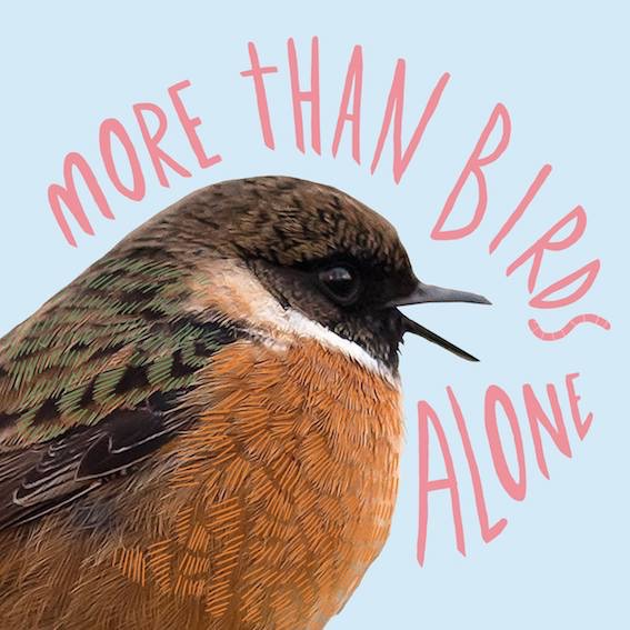 Aflevering 7: het snobistische grote fregatvogel-vrouwtje is niet snel tevreden