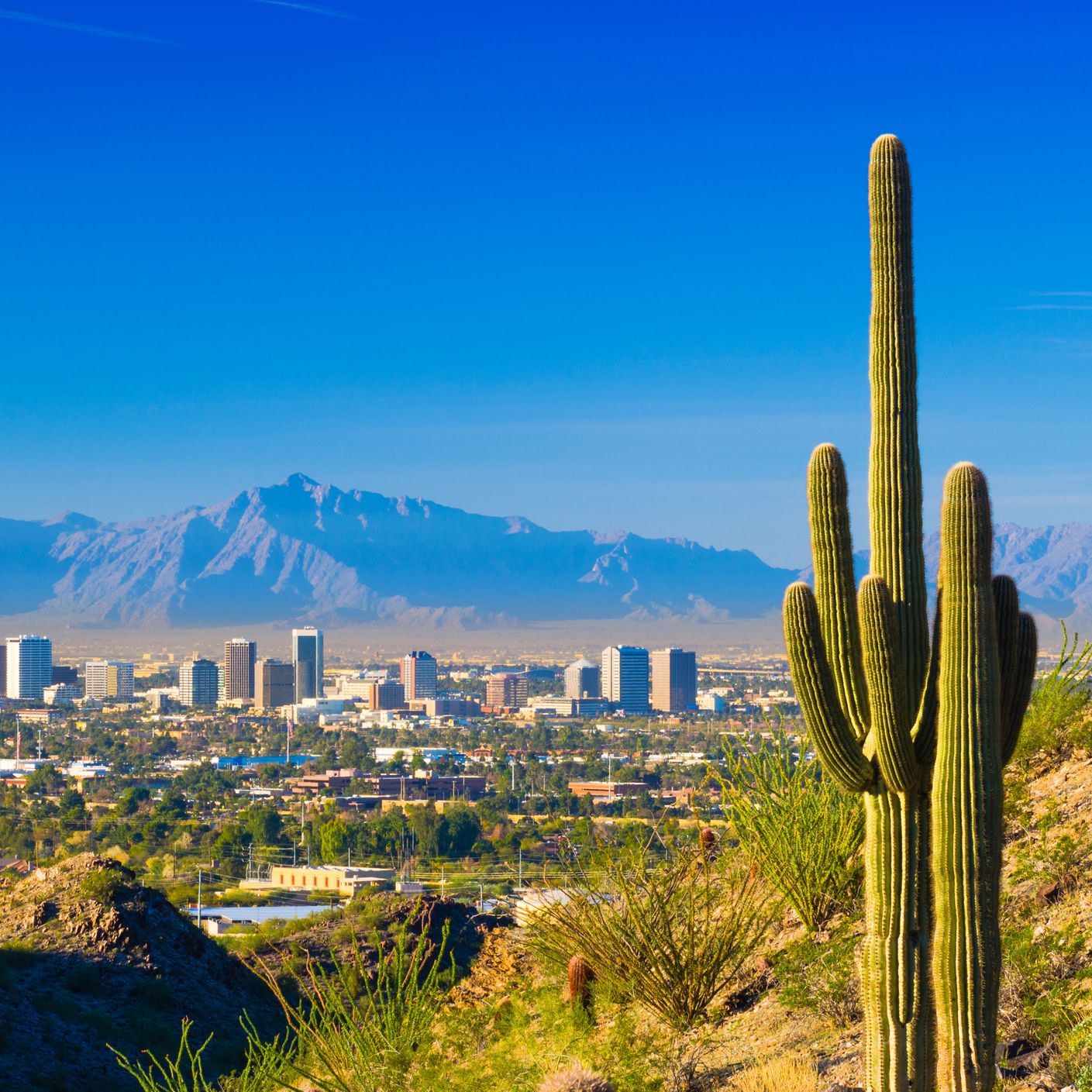 3 Takeaways from WCRI