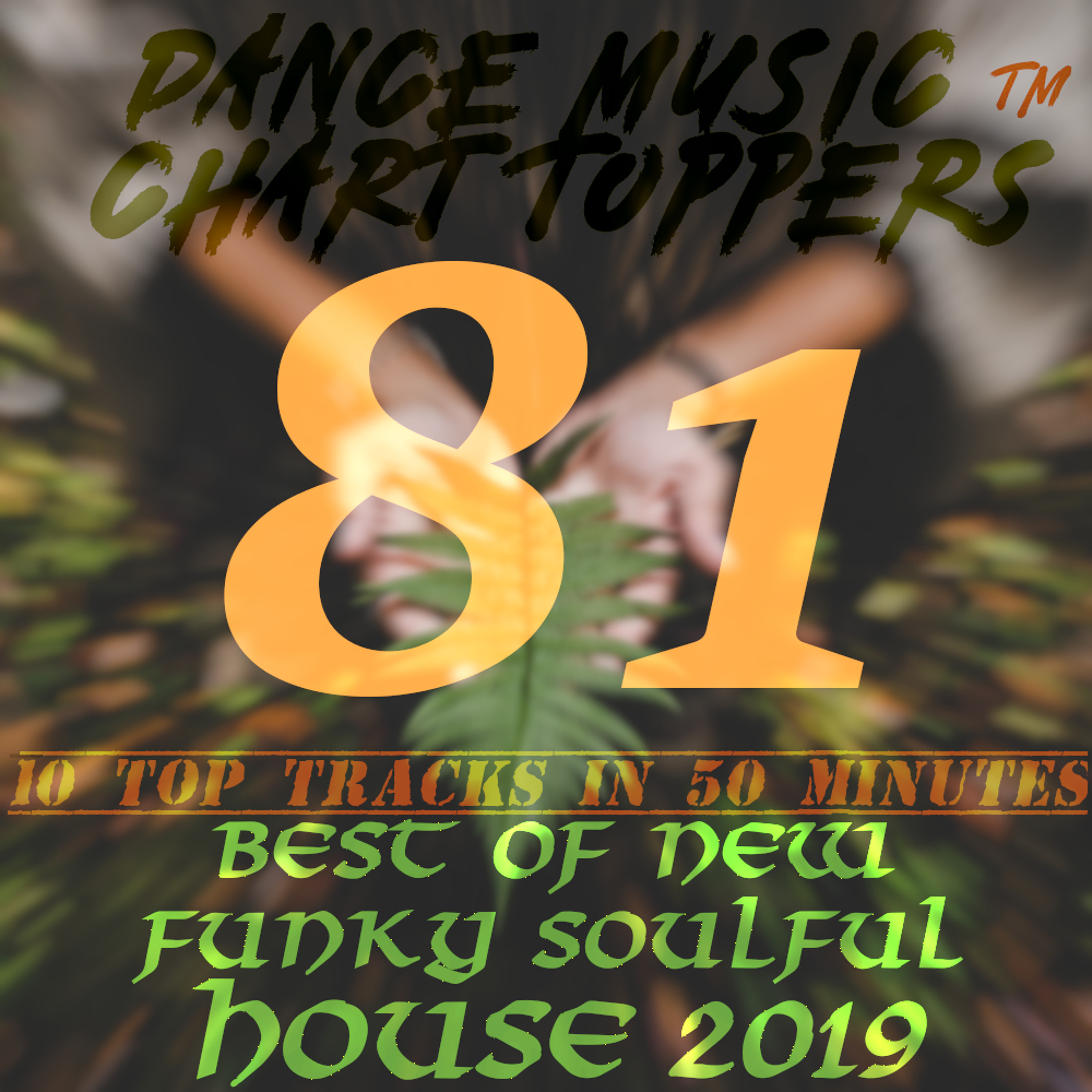 Dance Music Chart Toppers™ 10 Tracks in 50 Minutes
