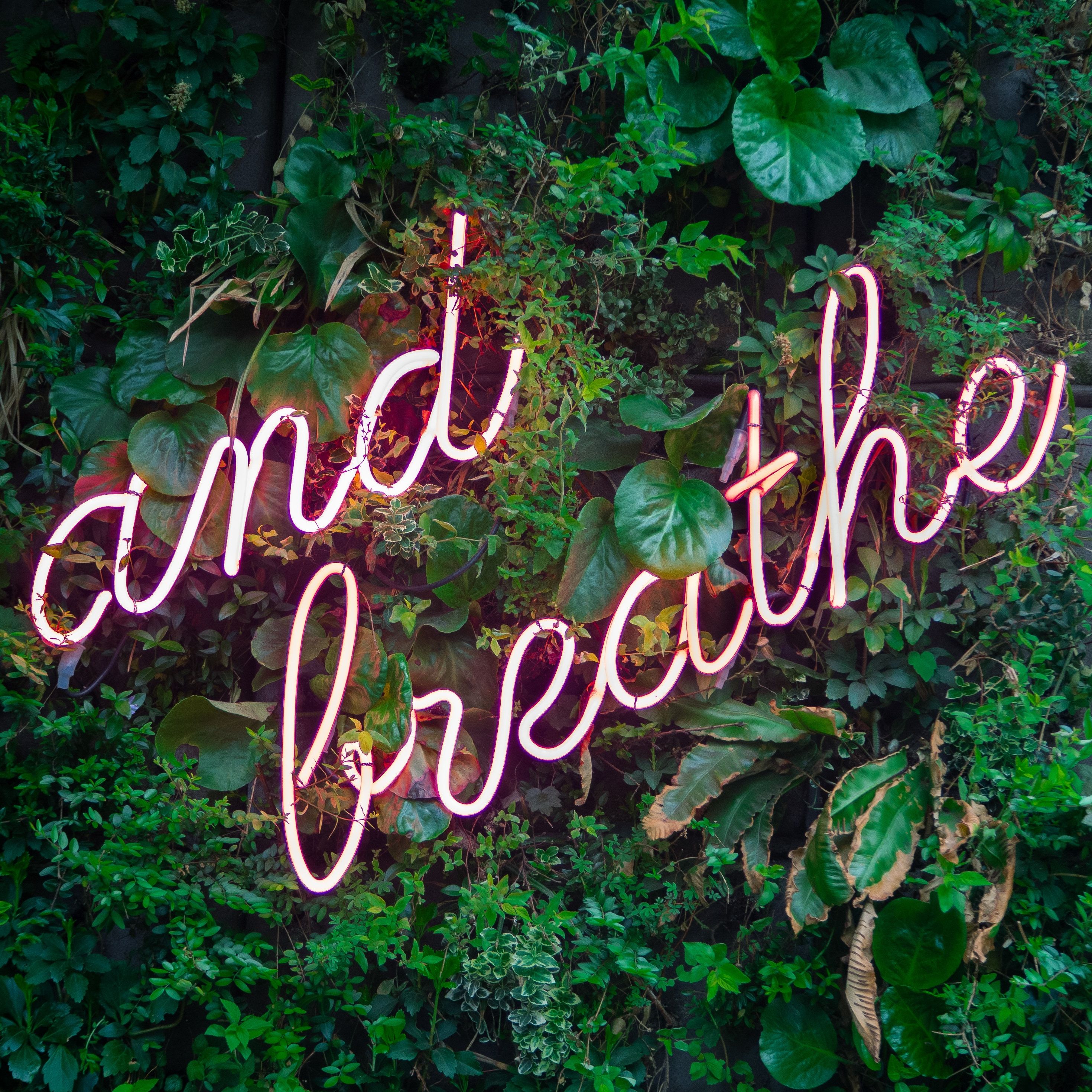 Anxiety & Coping