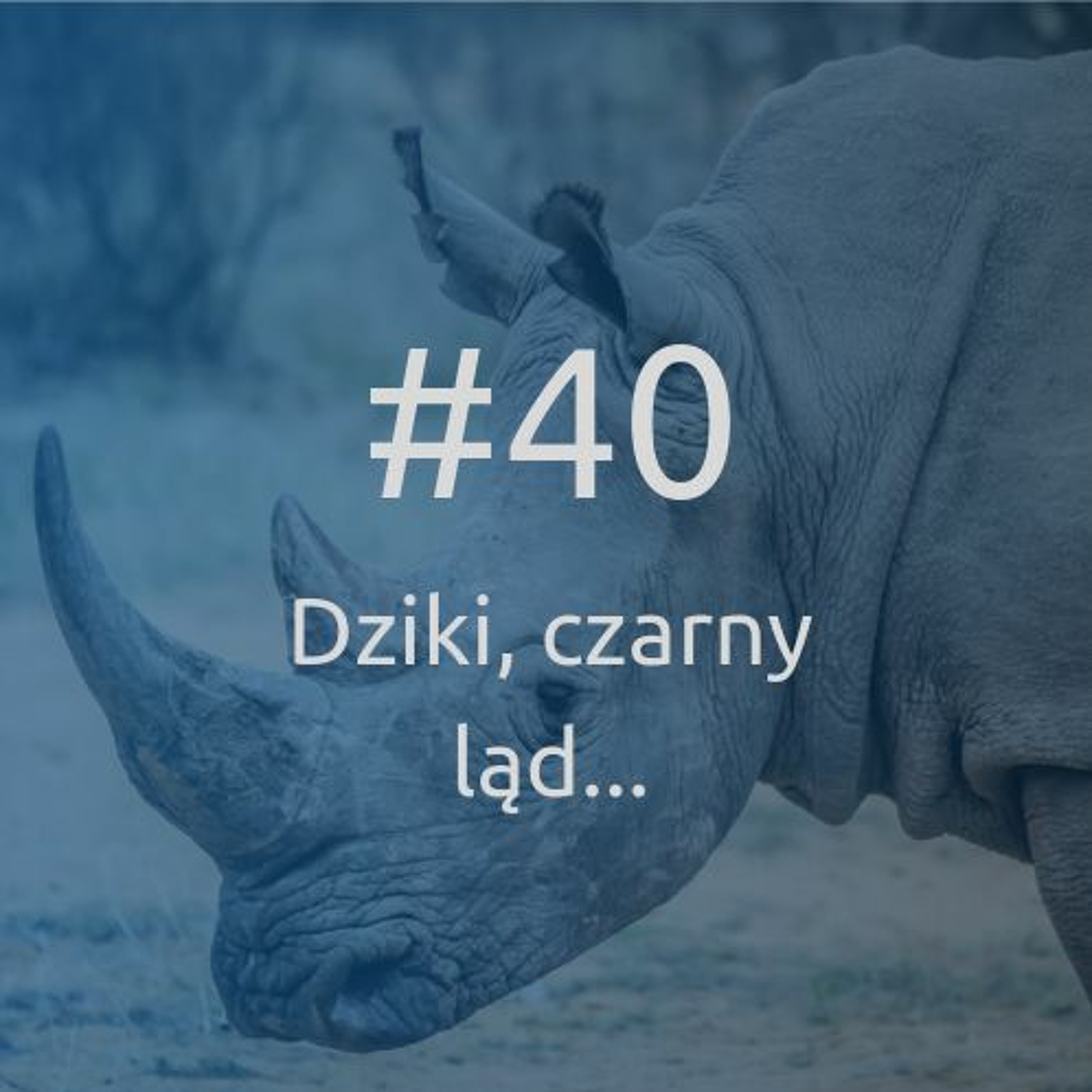 #40 Dziki, czarny ląd, czyli jak odkrywać popyt na rosnącym rynku Afryki? Marek Zmysłowski