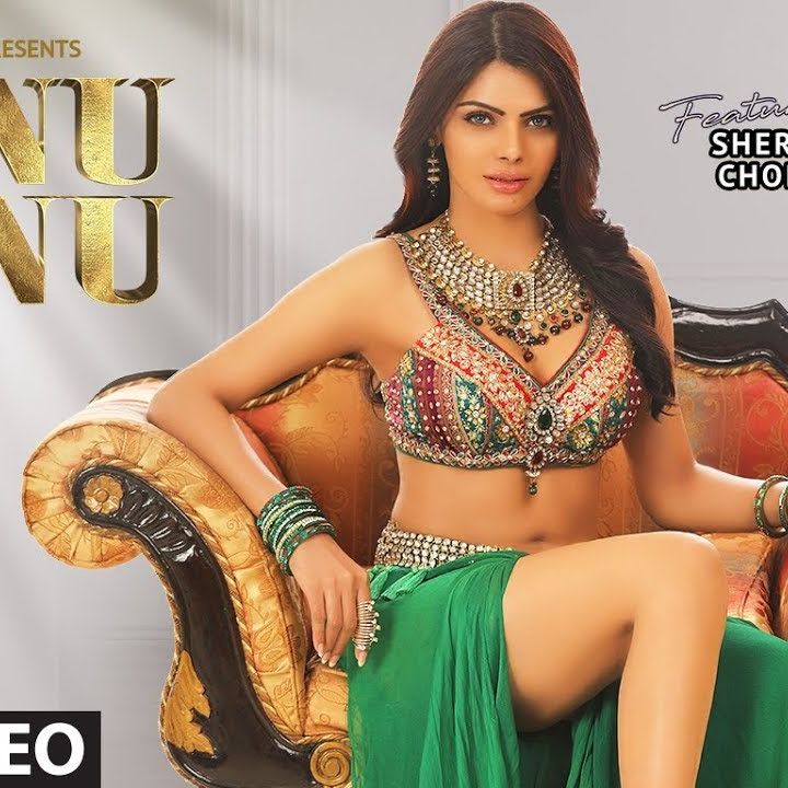 LYRICAL- Tunu Tunu  - Sherlyn Chopra Feat. Vicky & Hardik - Sukriti Kakar