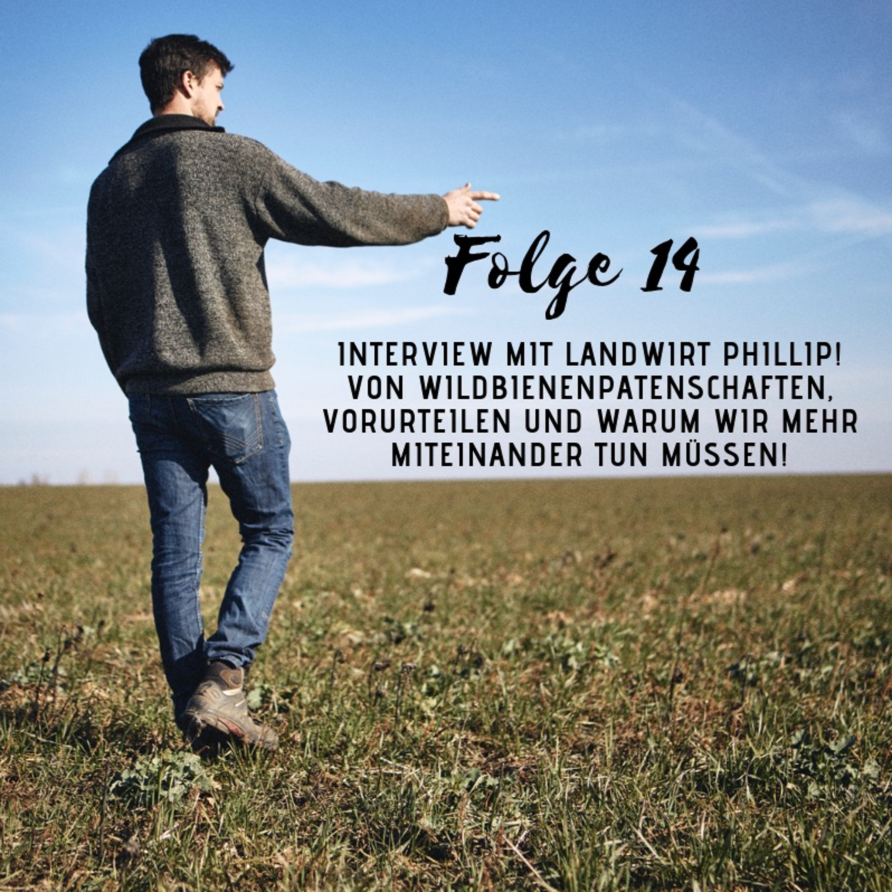 Interview mit Landwirt Phillip - Wildbienenpatenschaften, Vorurteile & Miteinander!