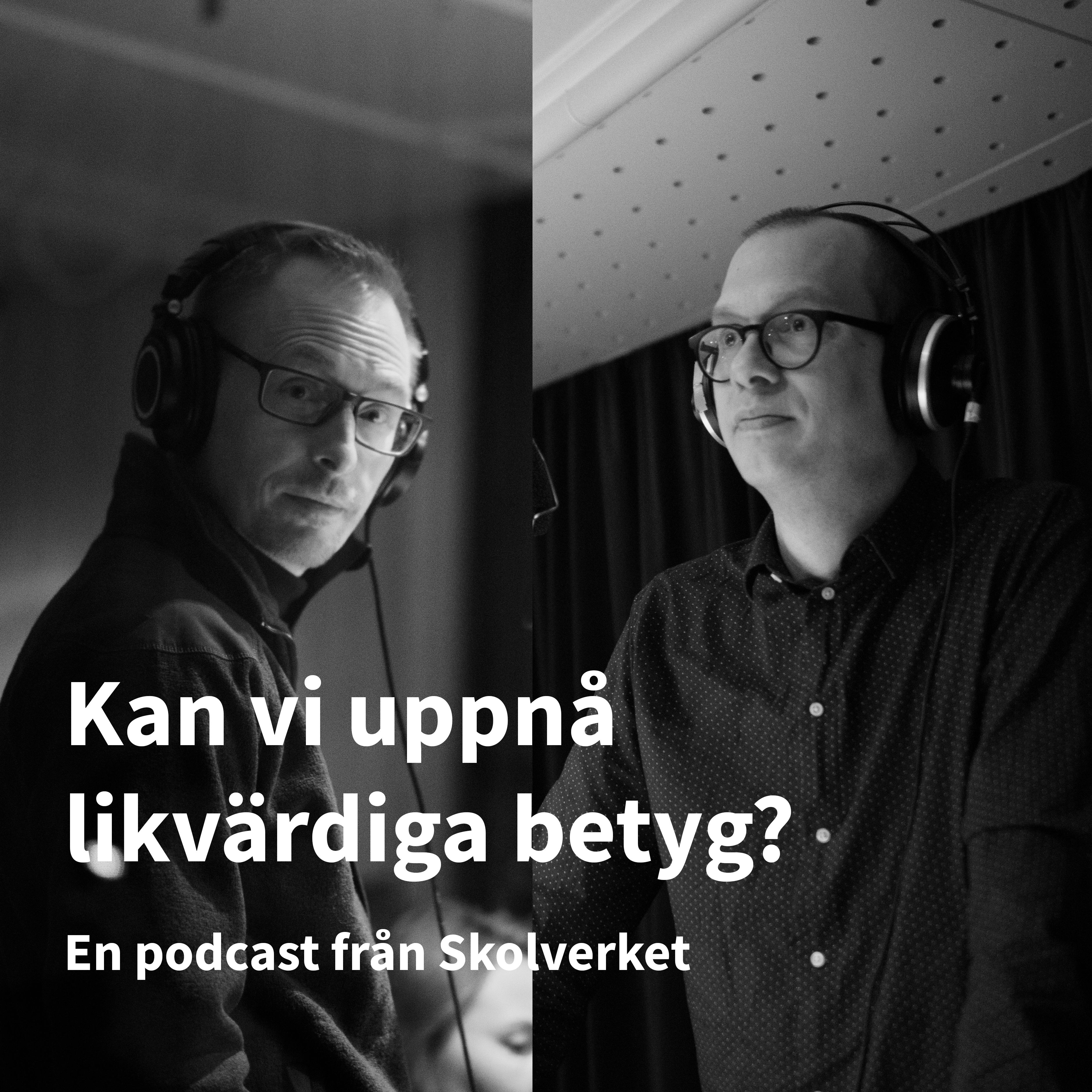 Kan vi uppnå likvärdiga betyg? Tema: bedömning och betyg – Skolverkspodden