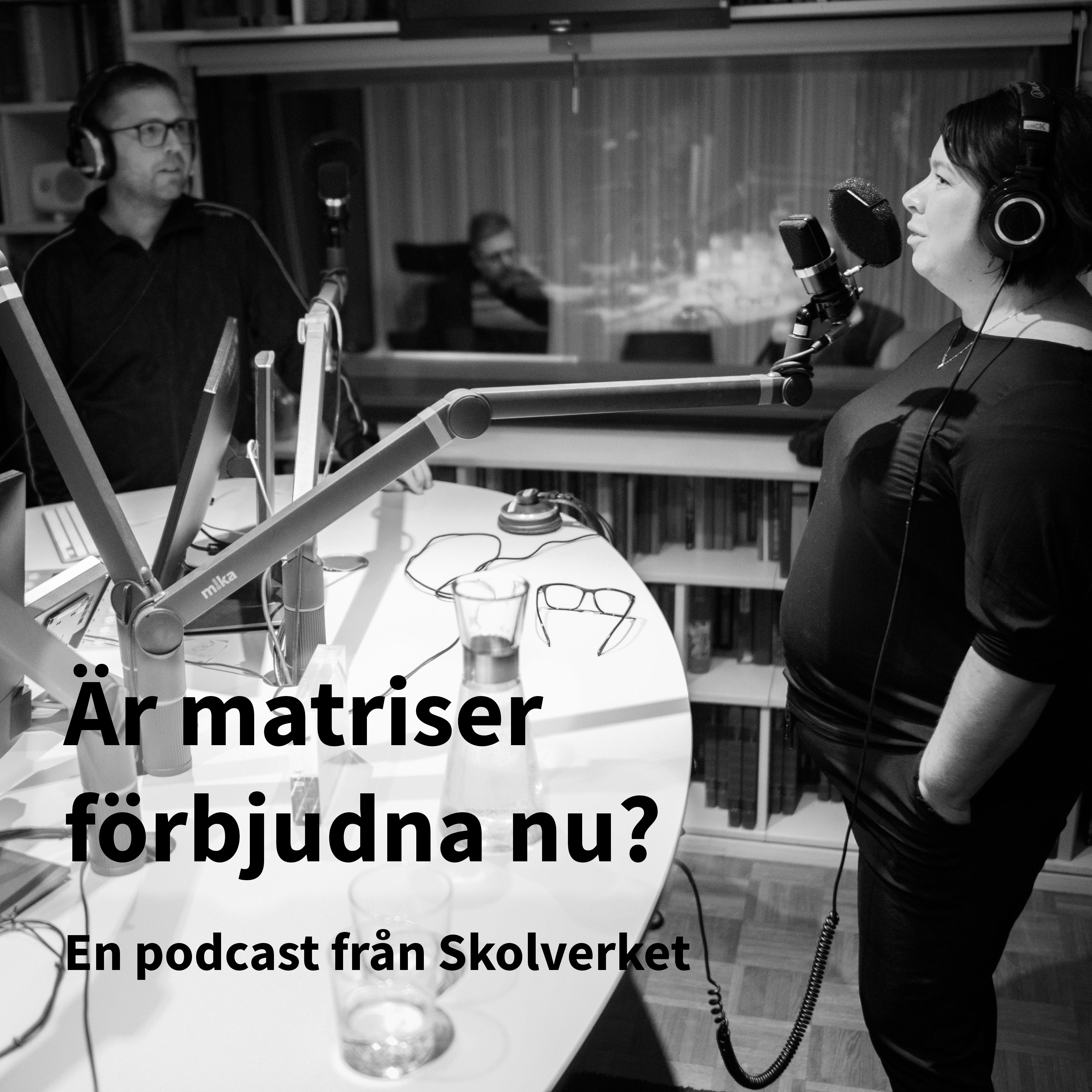 Är matriser förbjudna nu? Tema: bedömning och betyg – Skolverkspodden