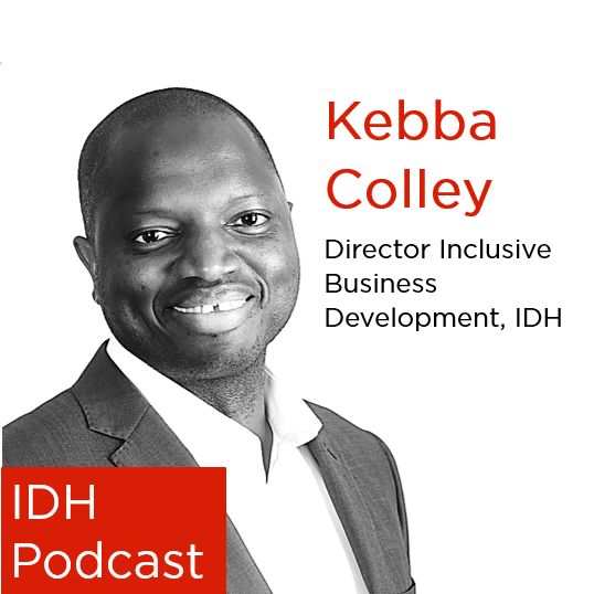 15 - Value Chain Development in Africa