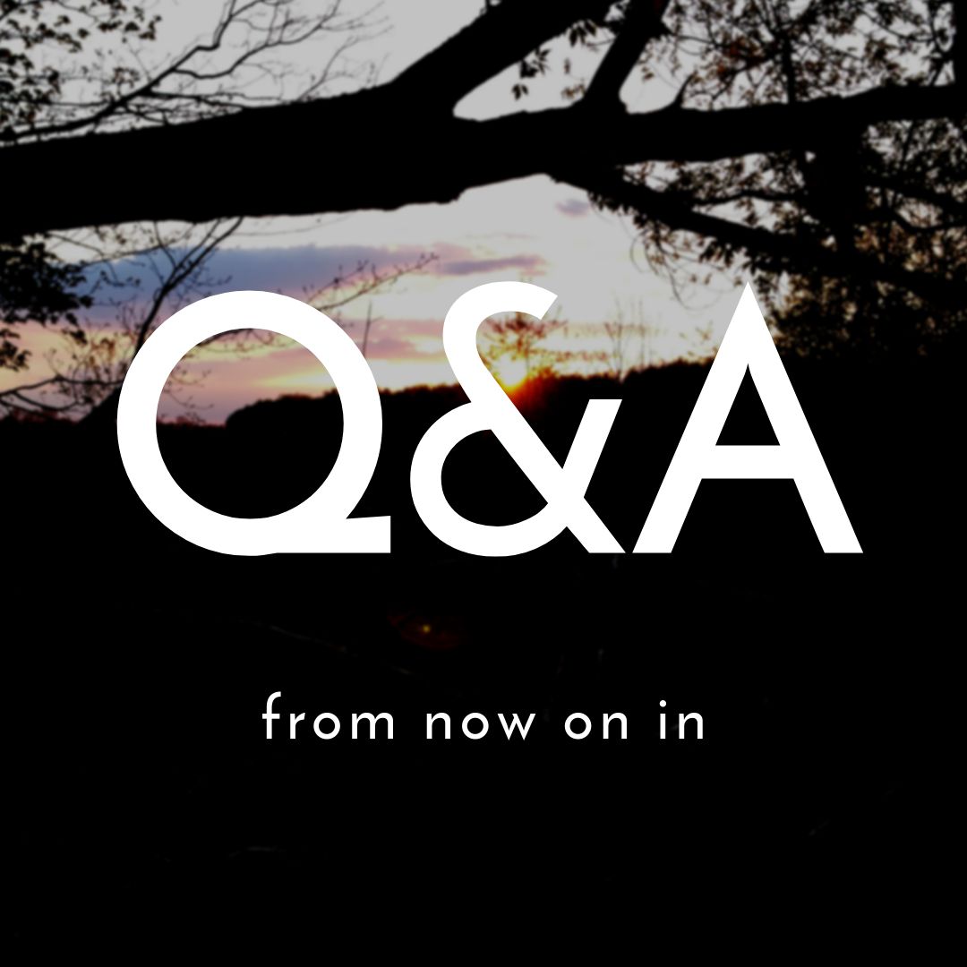 Q&A FROM NOW ON IN