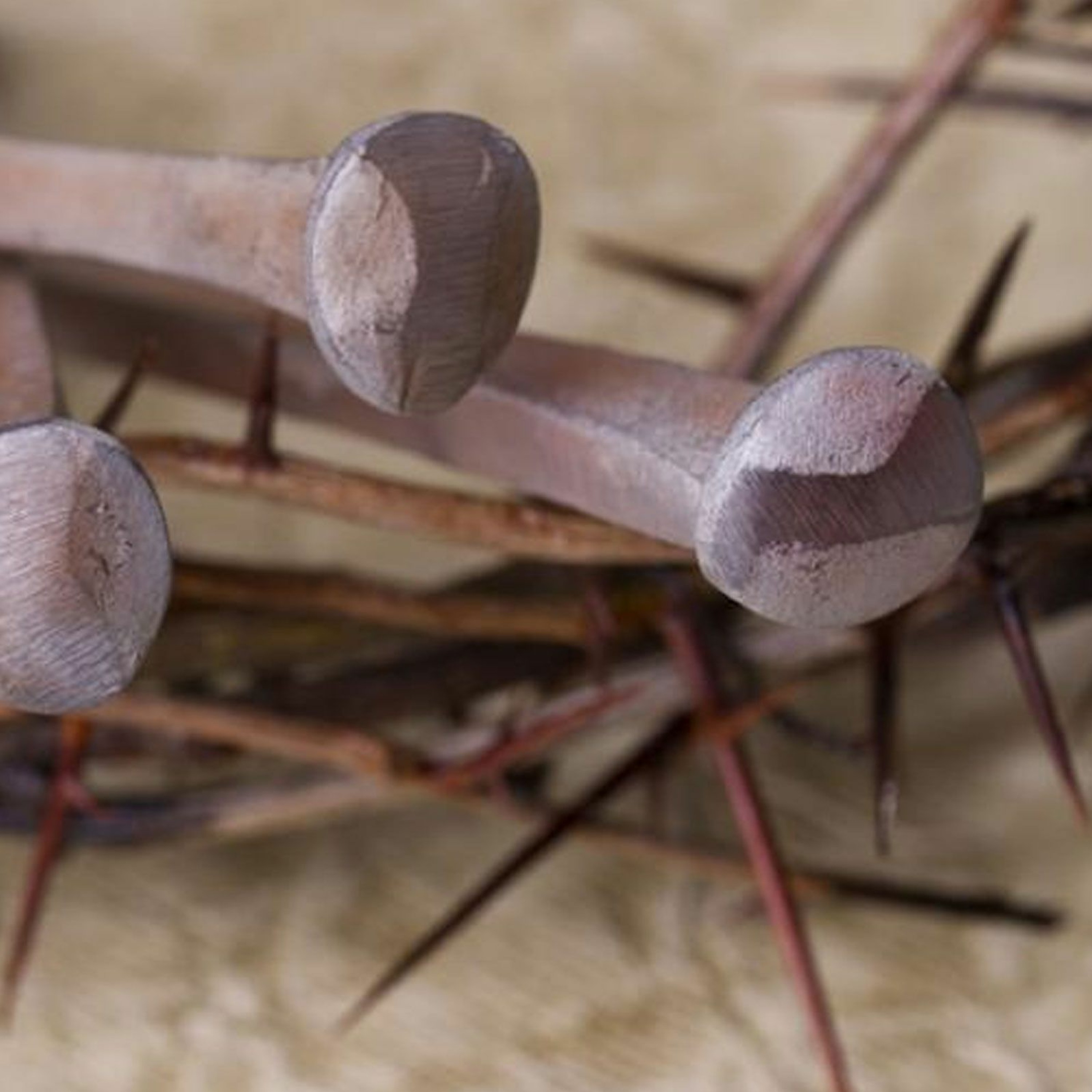 Who Crucified Jesus? - John Wheeler