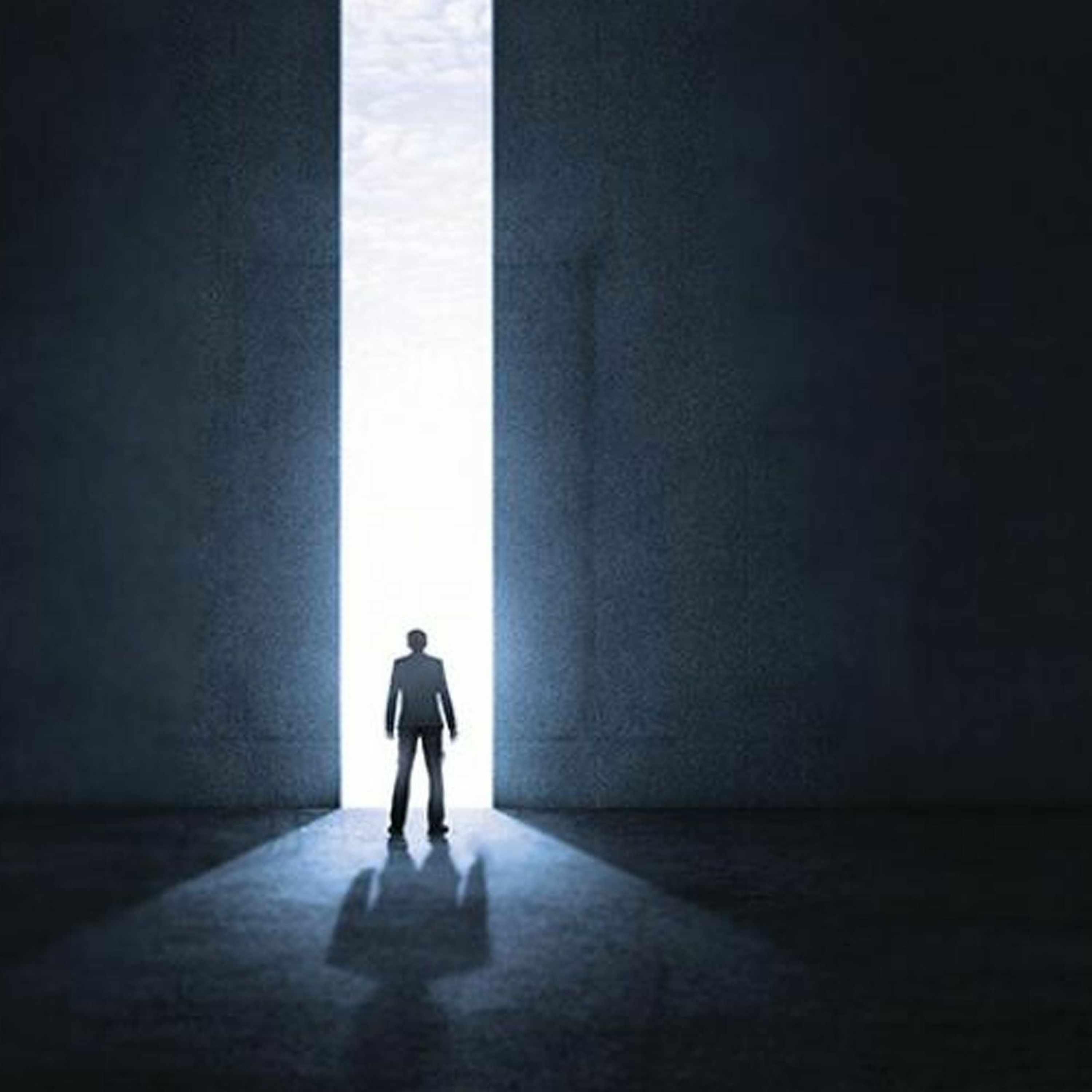 The Big Reveal - Roger Meyer