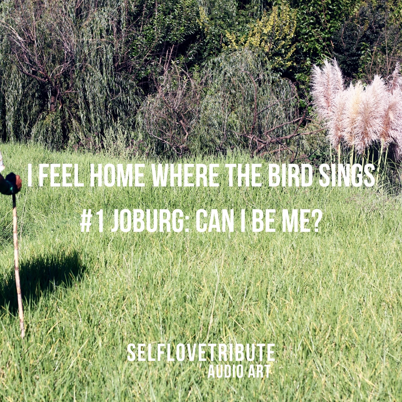 I feel home where the bird sings # 1 - Joburg - Can I Be Me ?