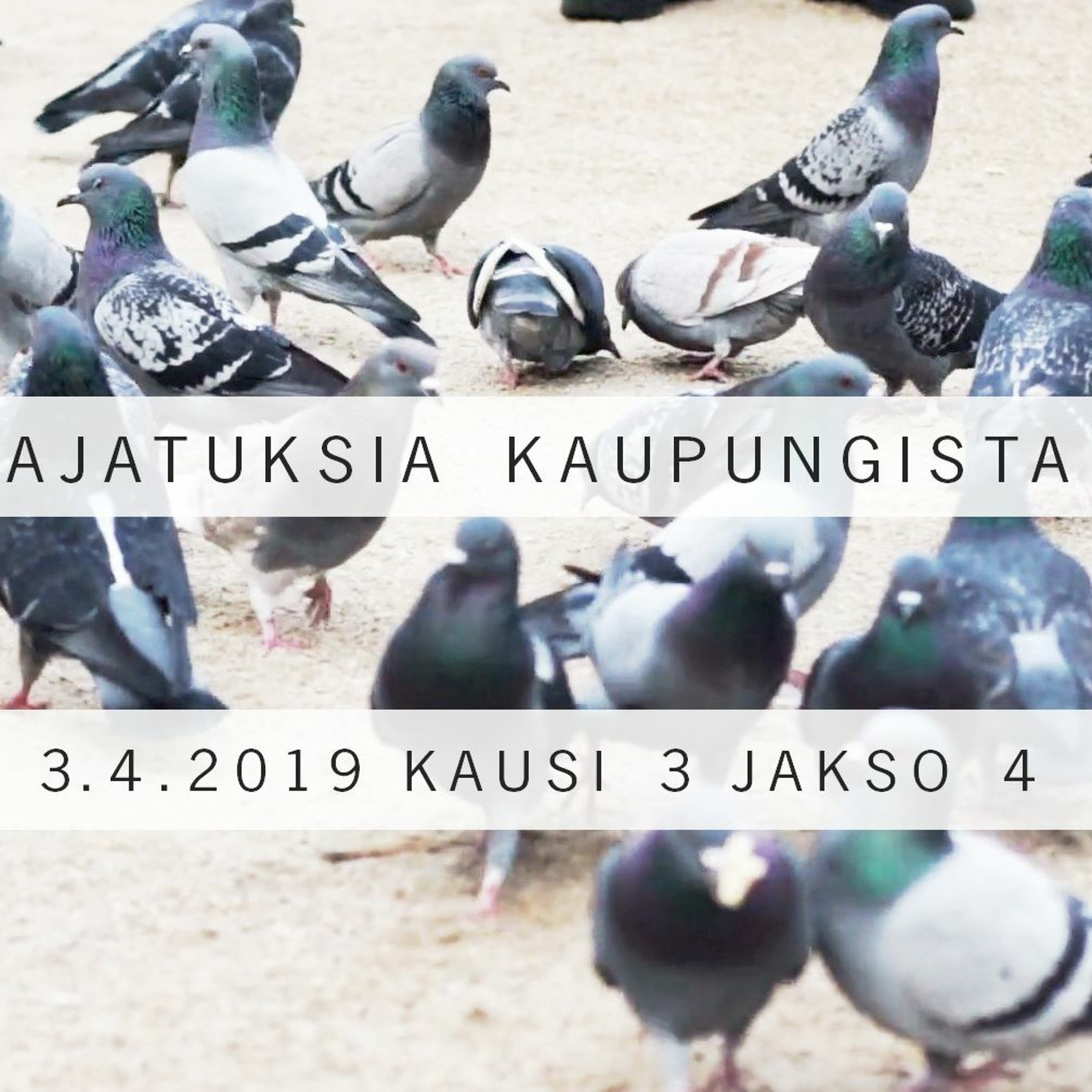 Ajatuksia kaupungista