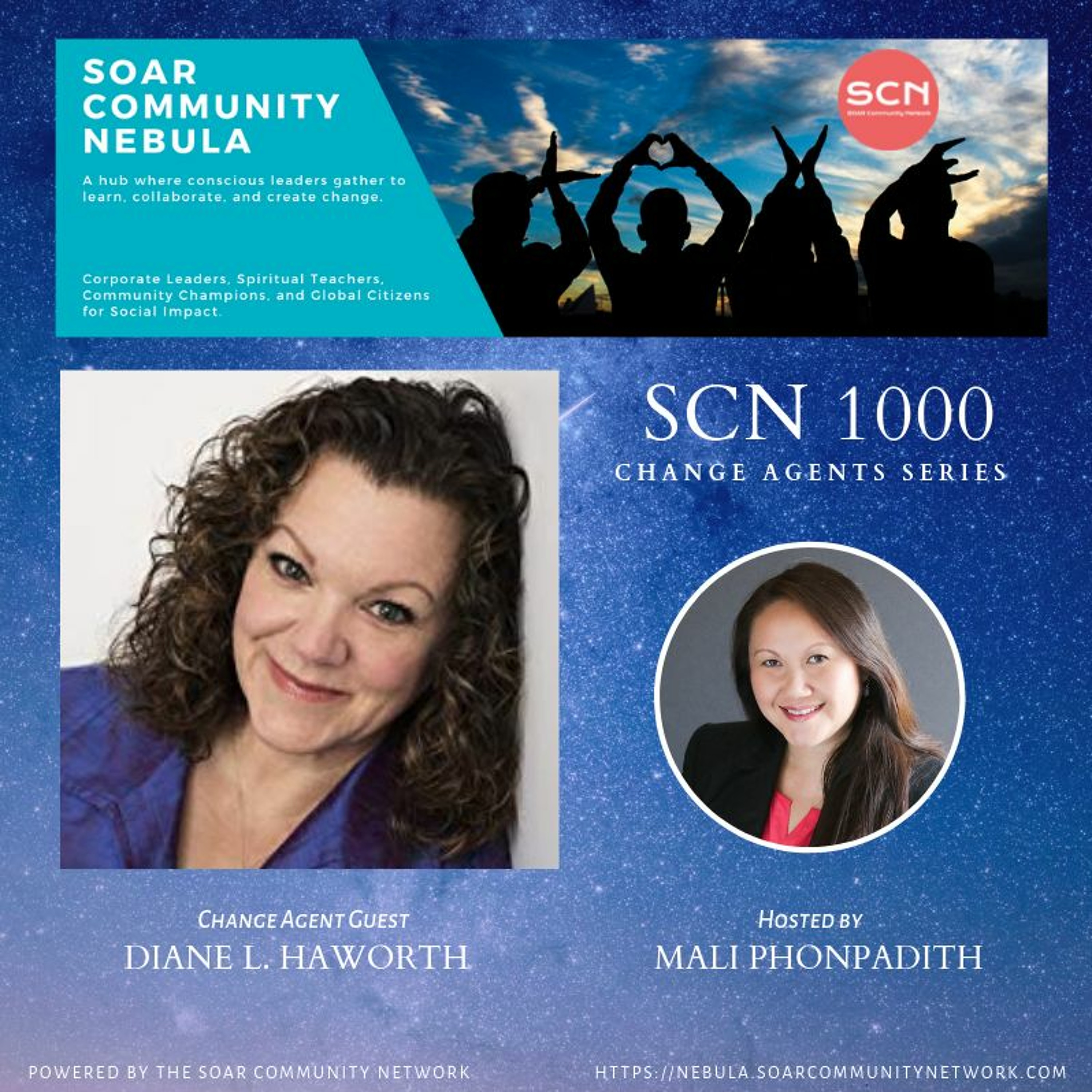 SCN1000ChangeAgent Interview Series - Diane L. Haworth