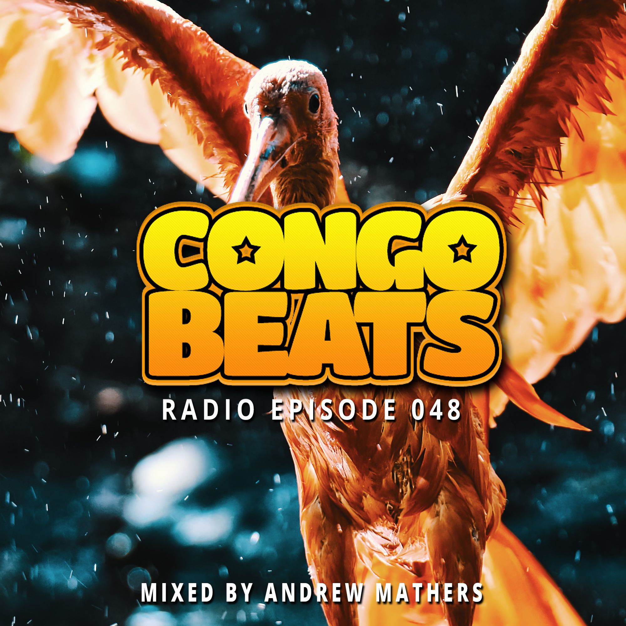 Congo Beats Radio 048 - Mixed By Andrew Mathers