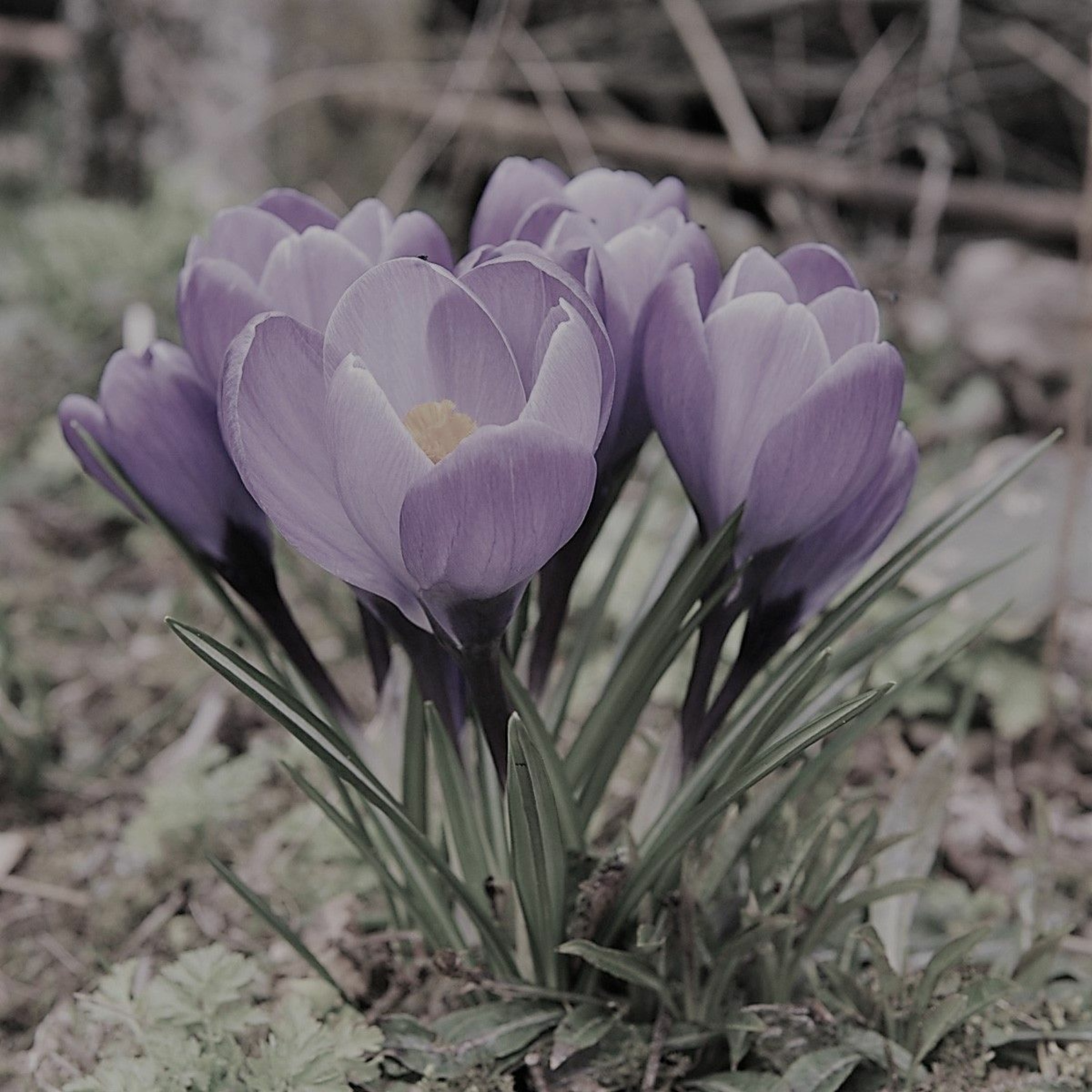 UITGELEZEN: ZKV (zeer korte verhalen)