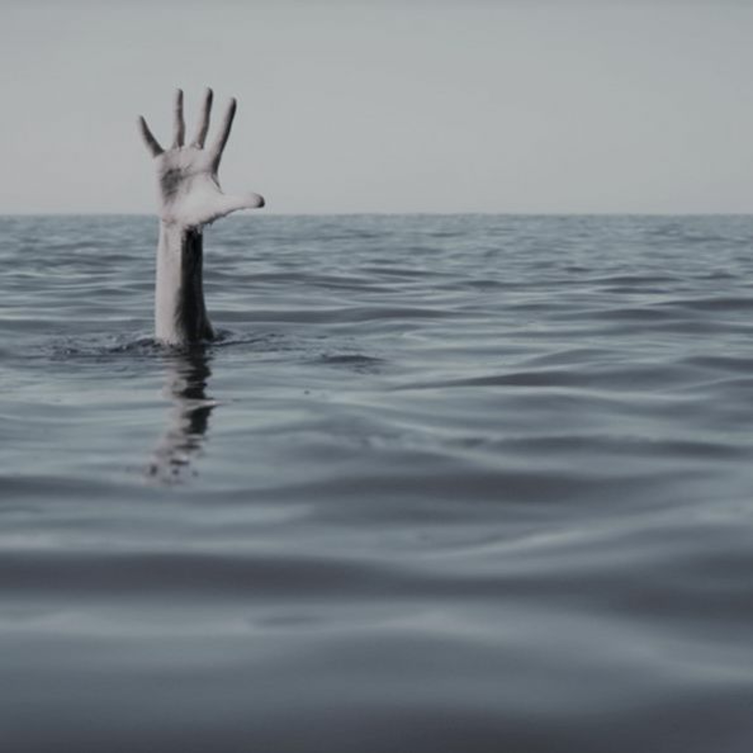 UITGELEZEN: ZKV (zeer korte verhalen)