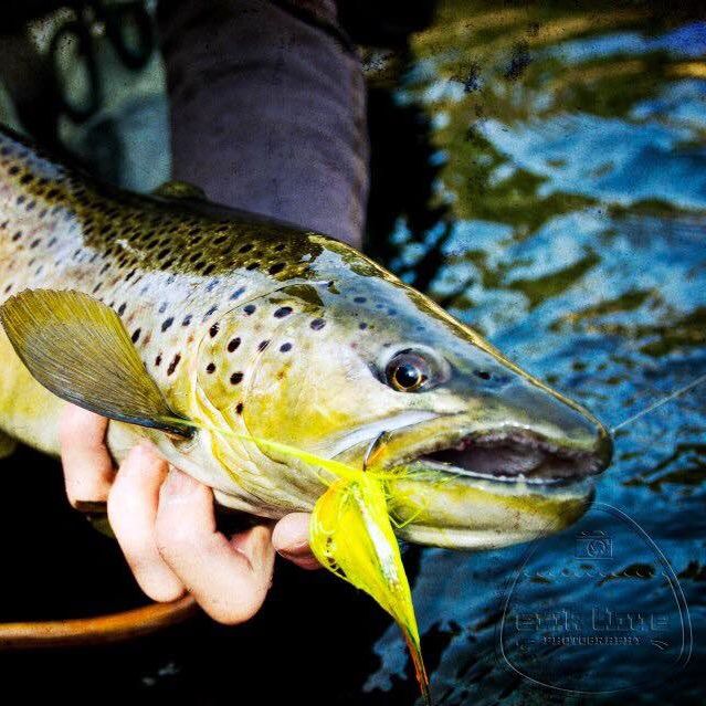 #8 - We interview Erik Thue of Catch and Capture from Hayward, WI.