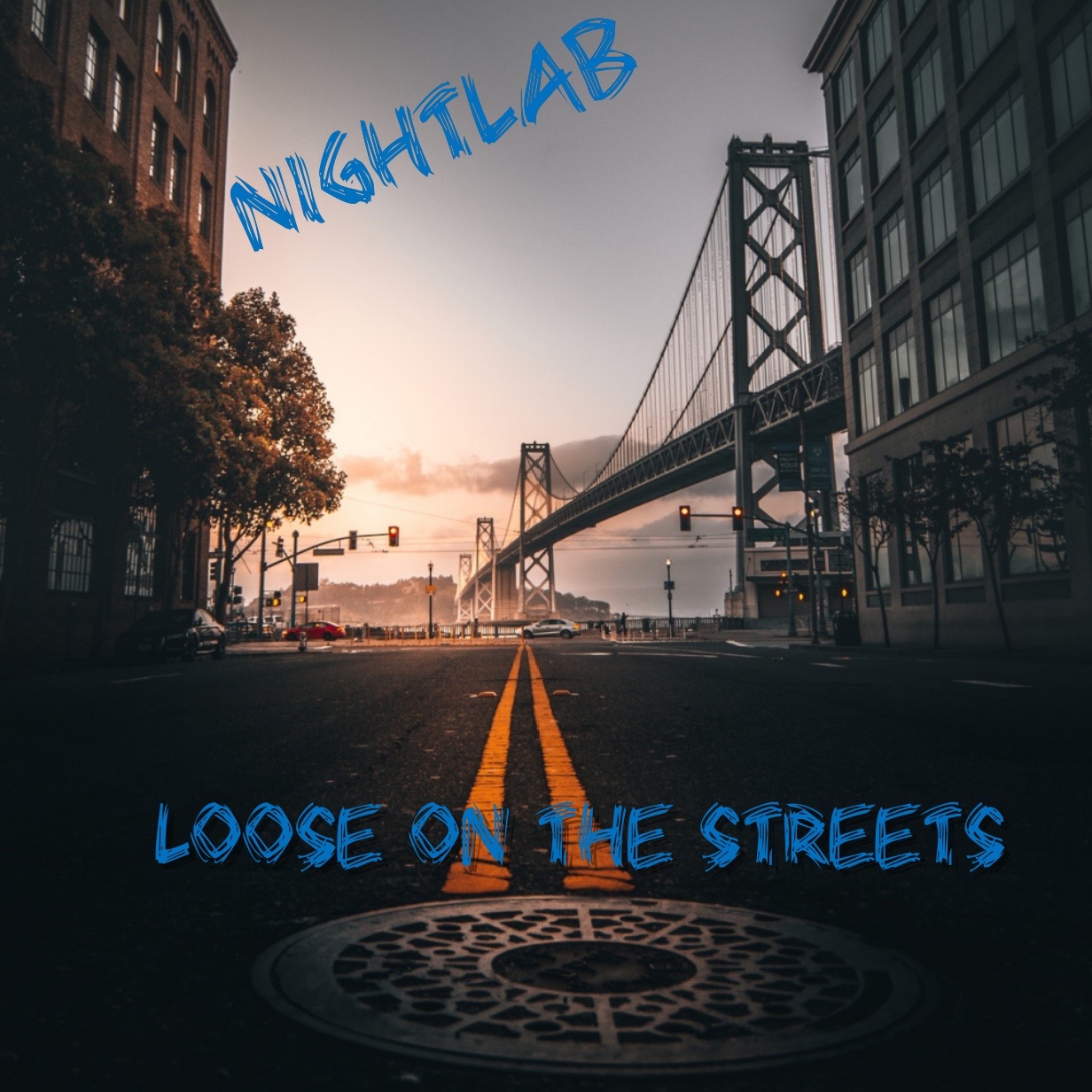 LOOSE ON THE STREETS
