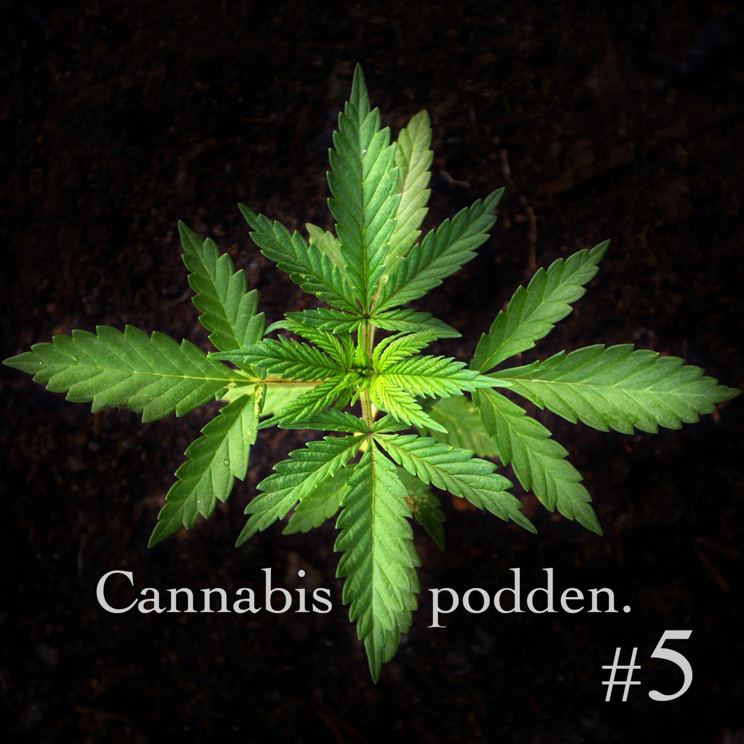 4/20 med Wally Johnson