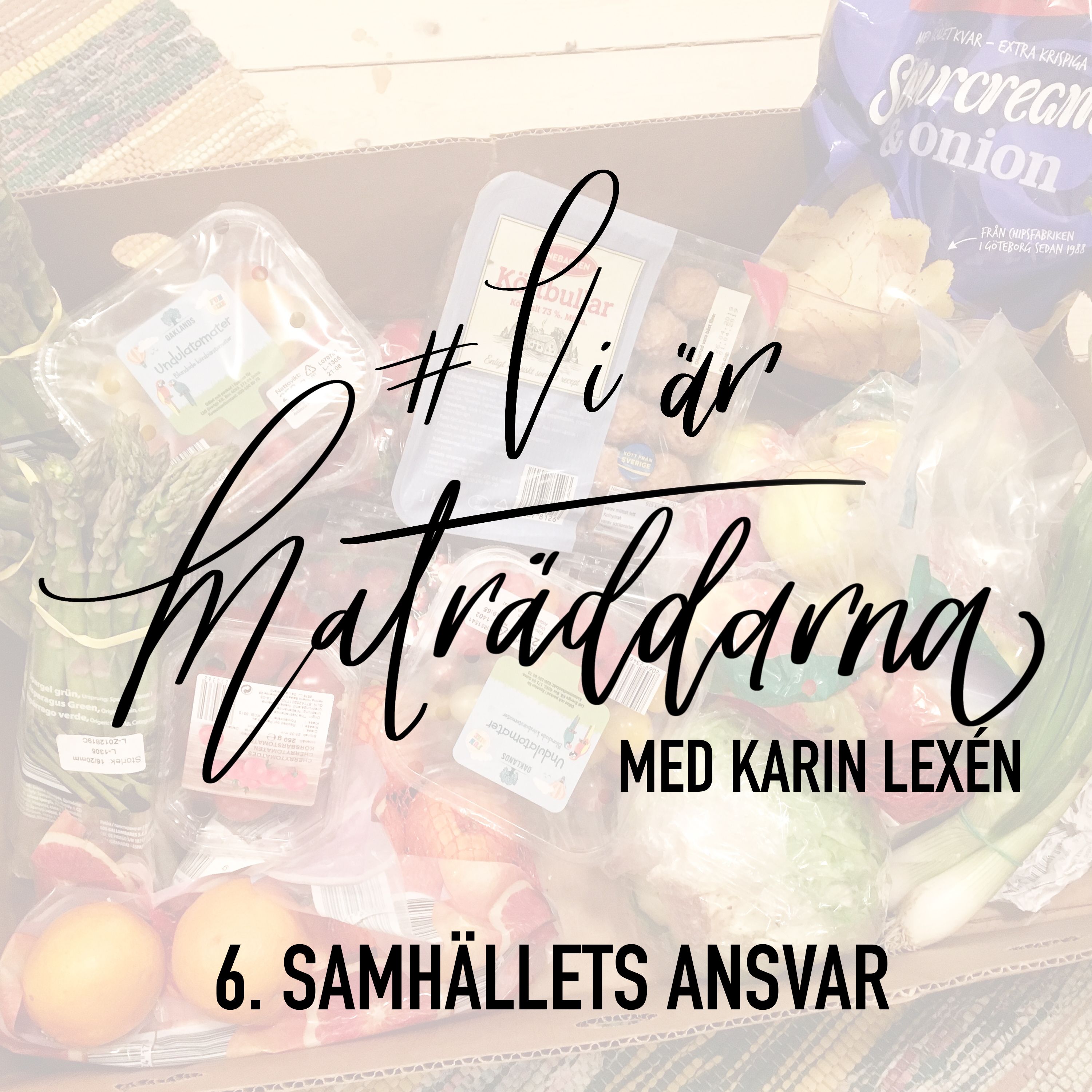 6. Samhällets Ansvar med Karin Lexén