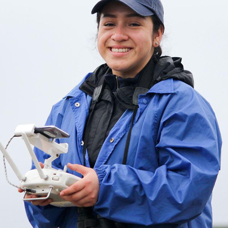 Can a drone weigh an elephant seal?