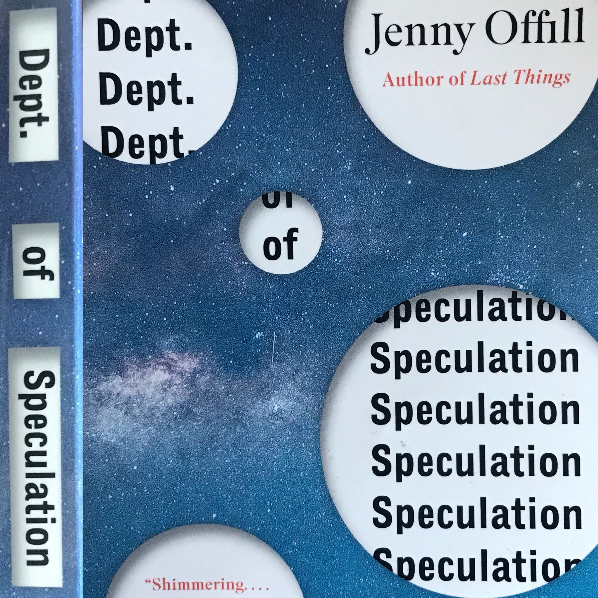 35: Monogamy, Marriage, & Loyalty in DEPT. OF SPECULATION (2014) by Jenny Offill