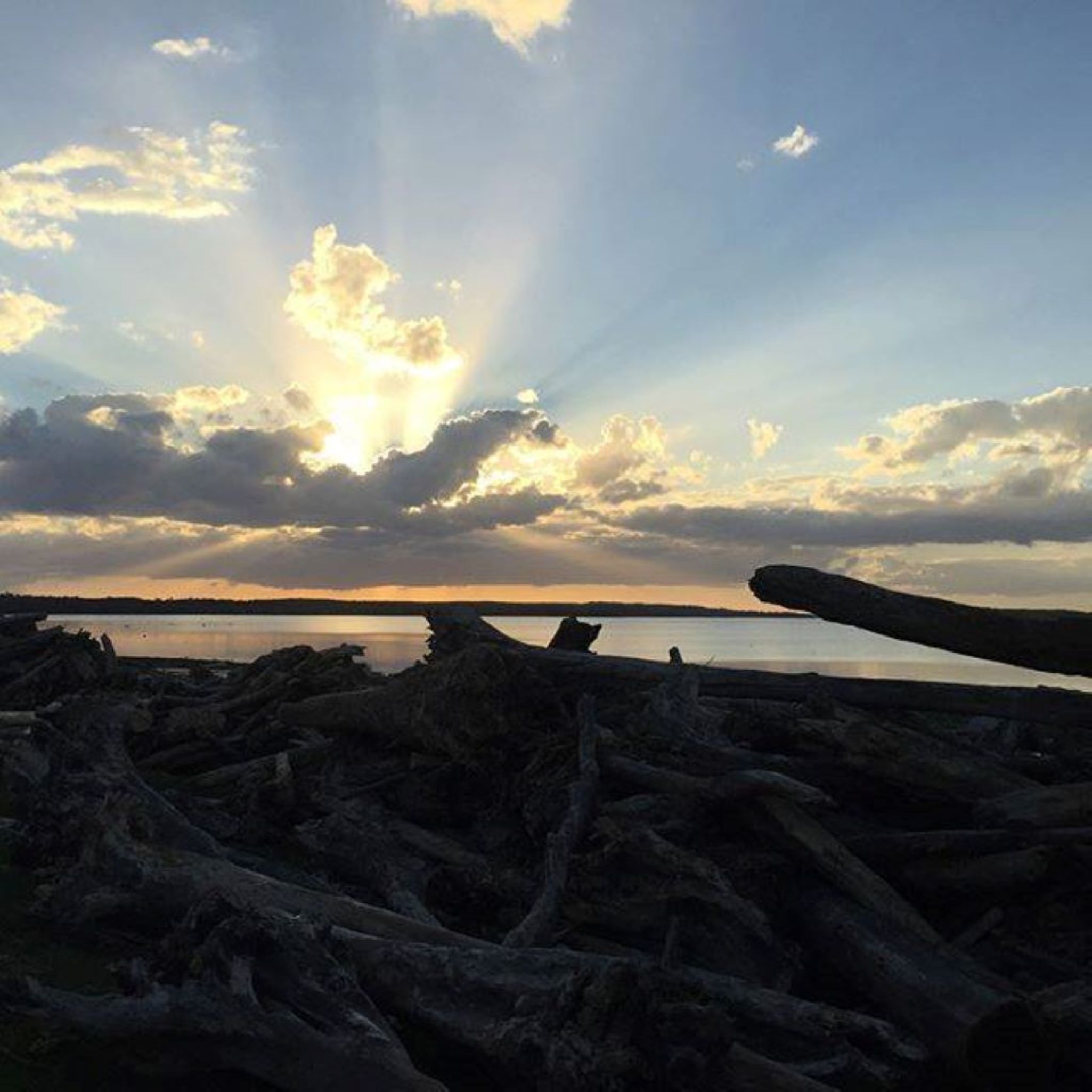 Restless at the New Dawn Poem