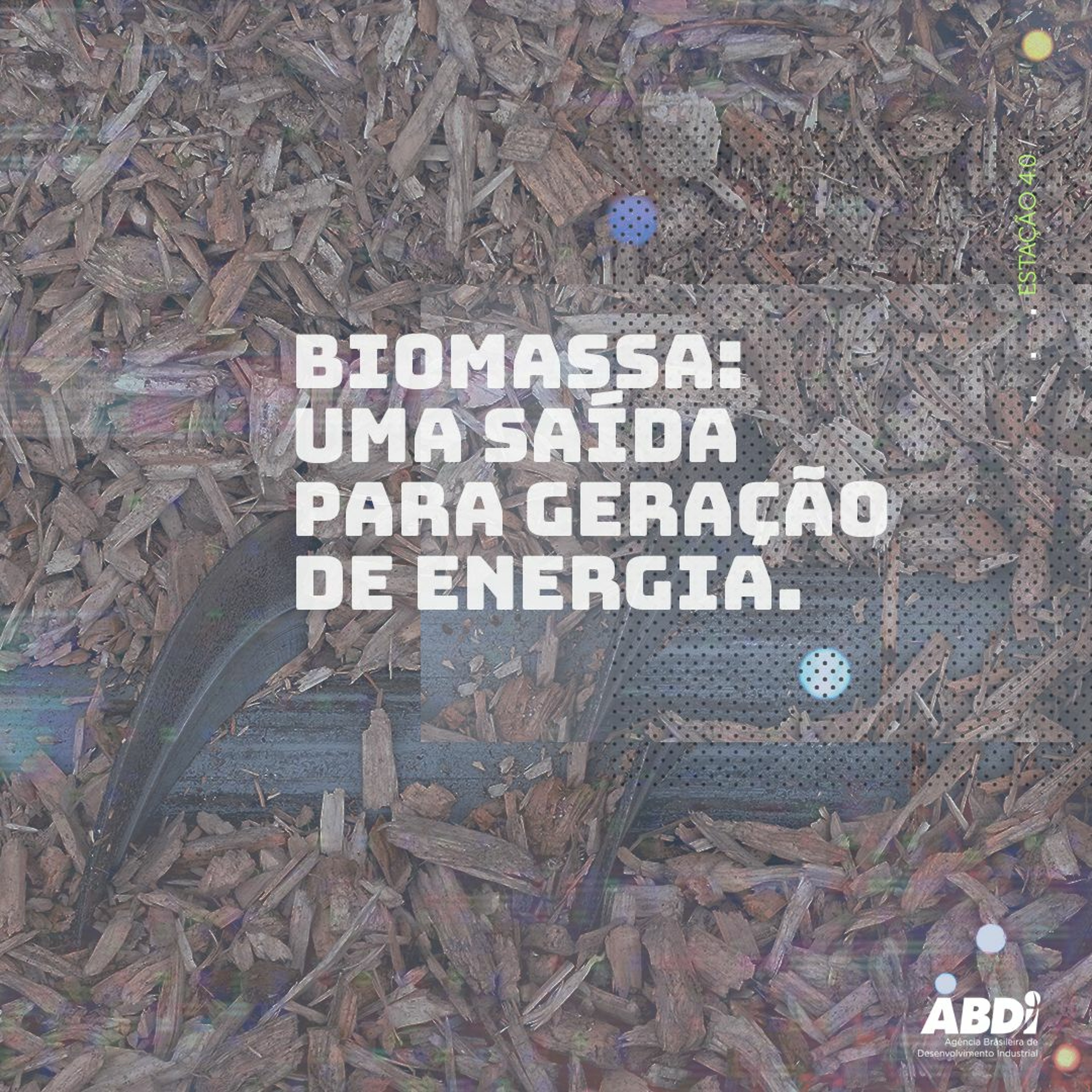 Biomassa: uma saída para geração de energia