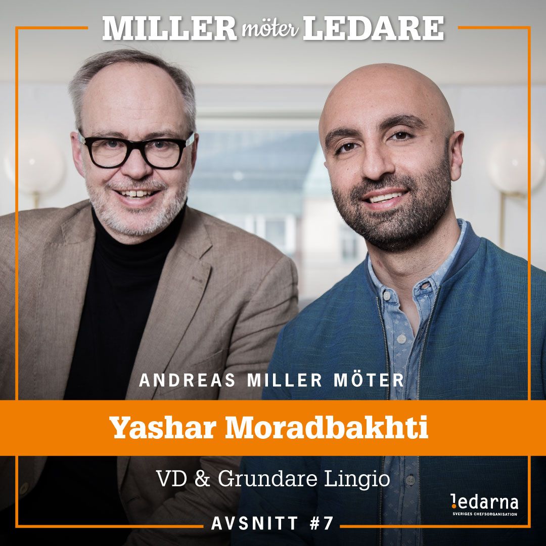 Yashar Moradbakhti – vd och grundare, Lingio