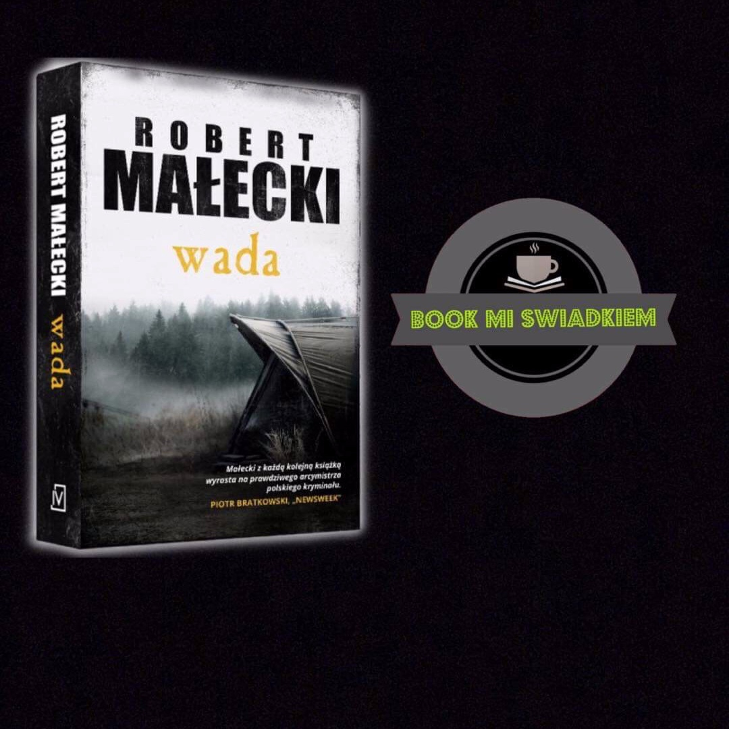 Book Mi Swiadkiem