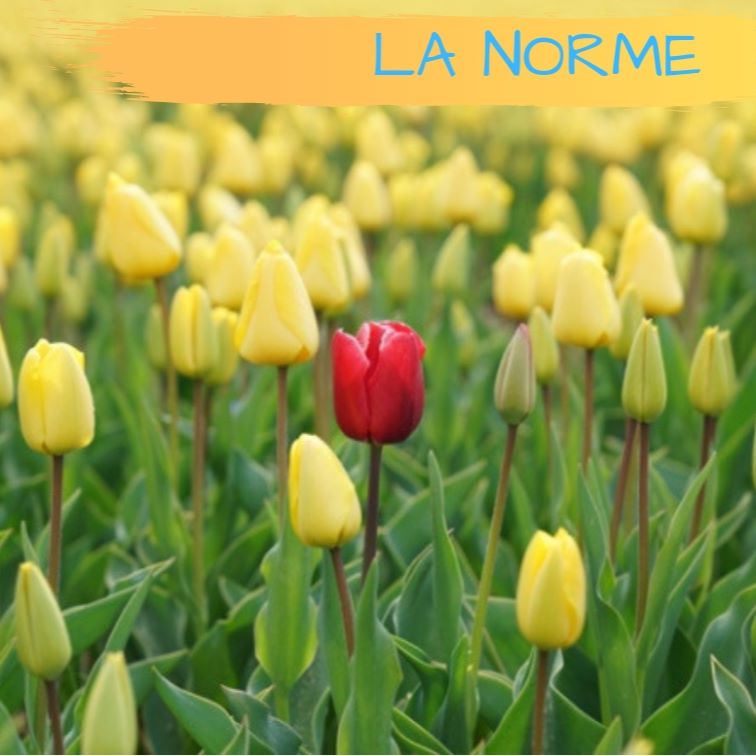 Norme & Perfection