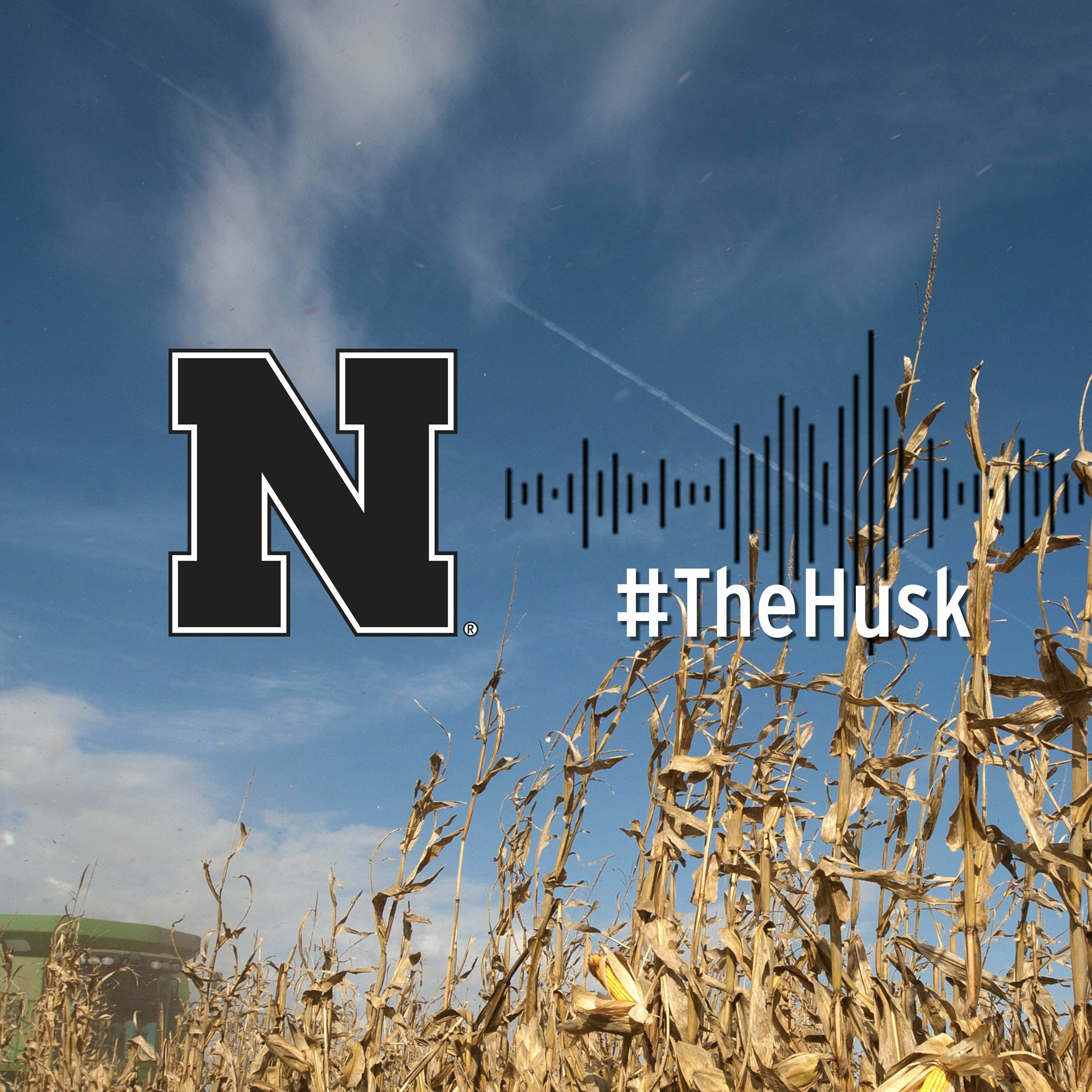 The Husk