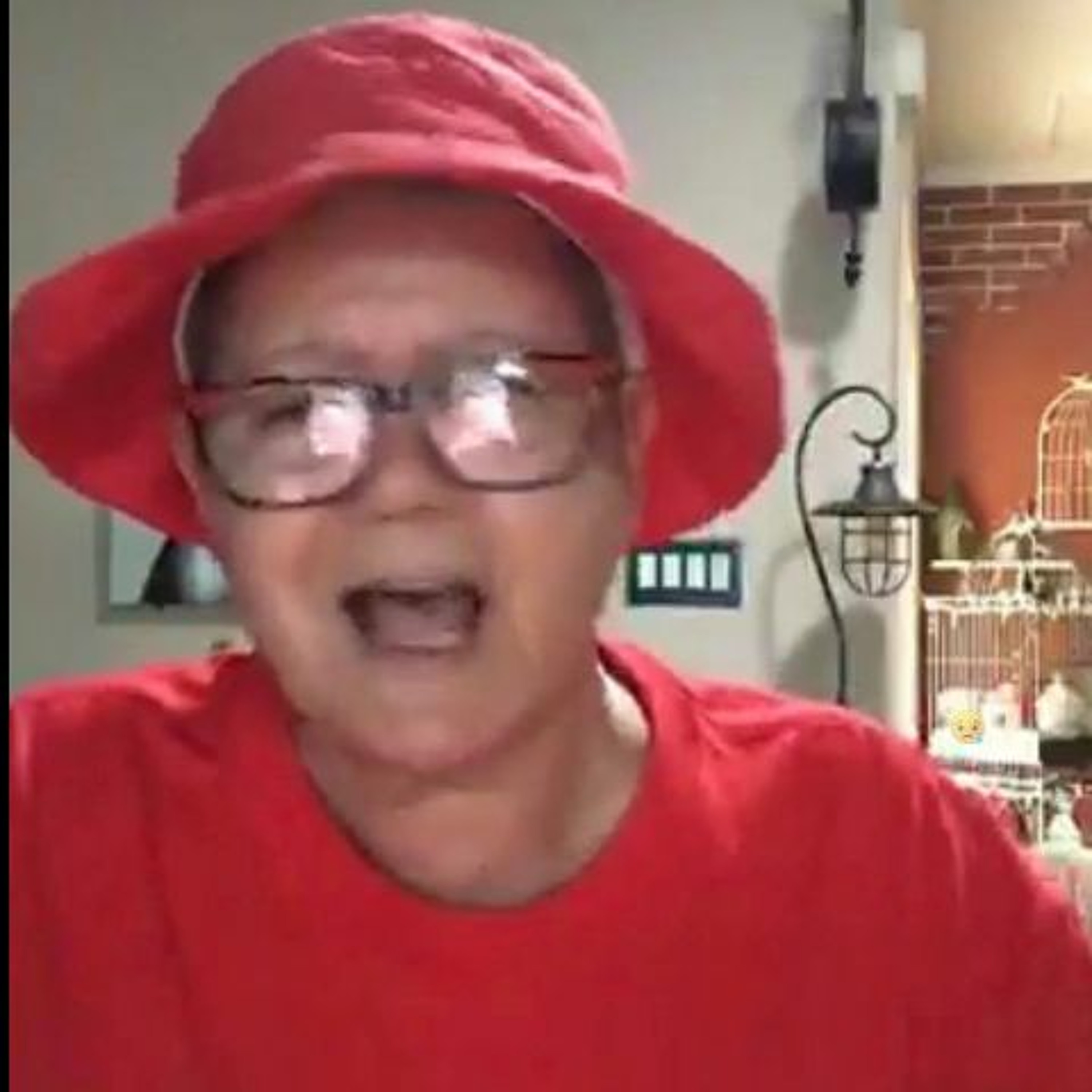 Deplorable Deb hides, Lil Shayne, Platform Civil Rights Bill