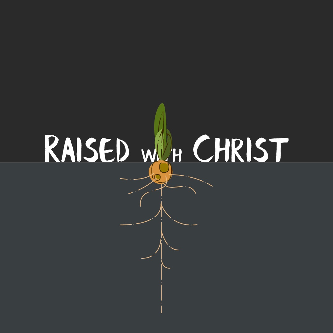 Grit & Grace