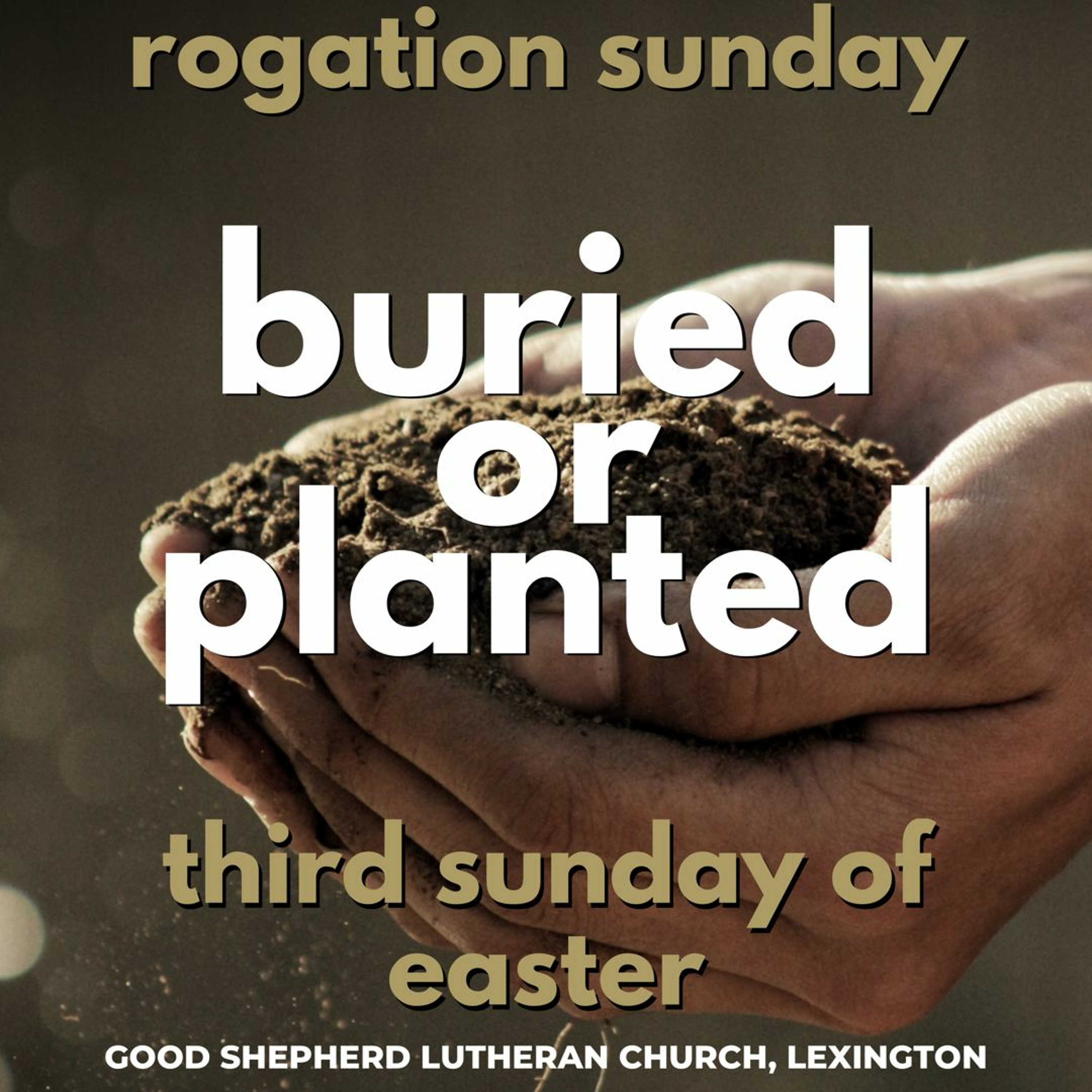 Lutheran Sermons