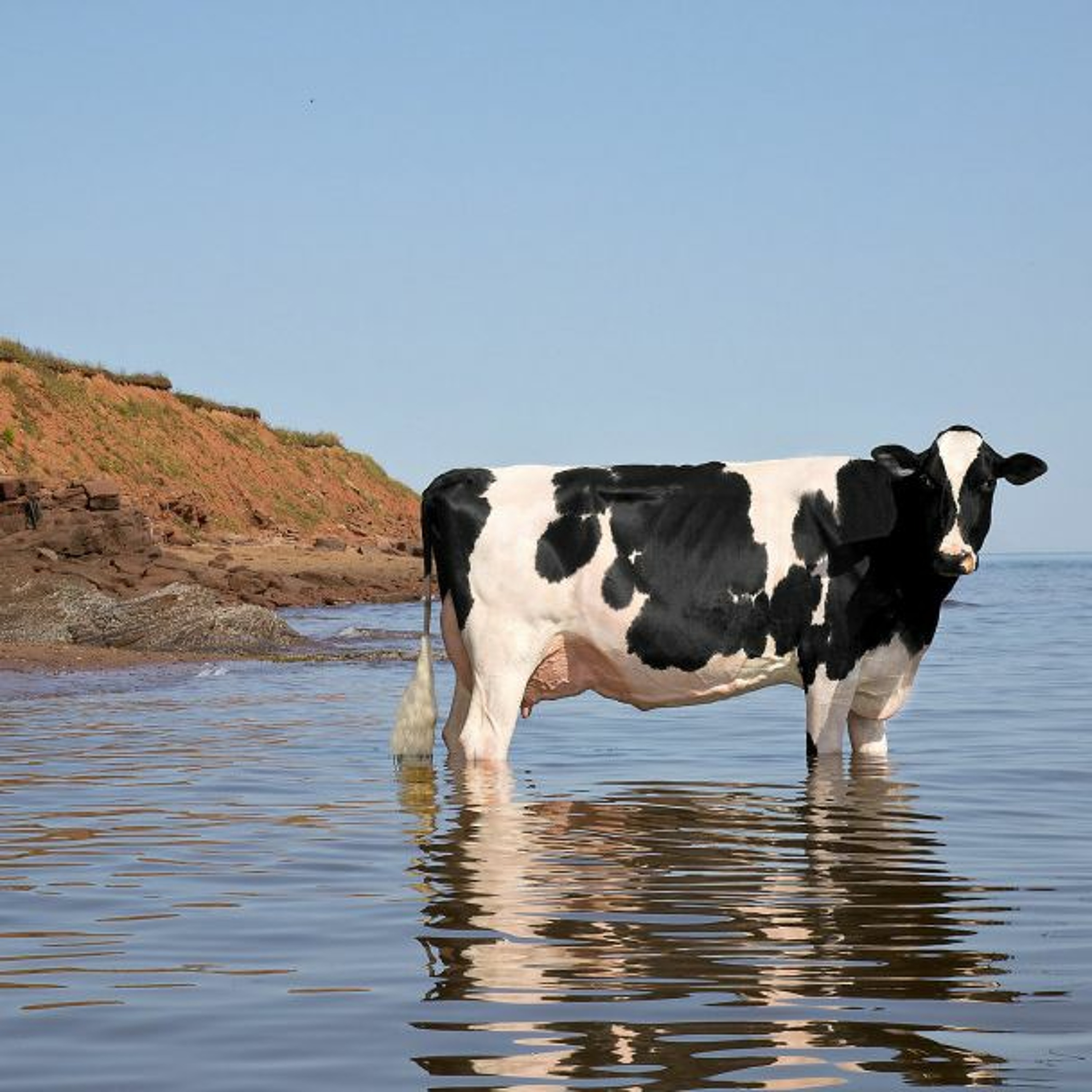Ontario AgCast