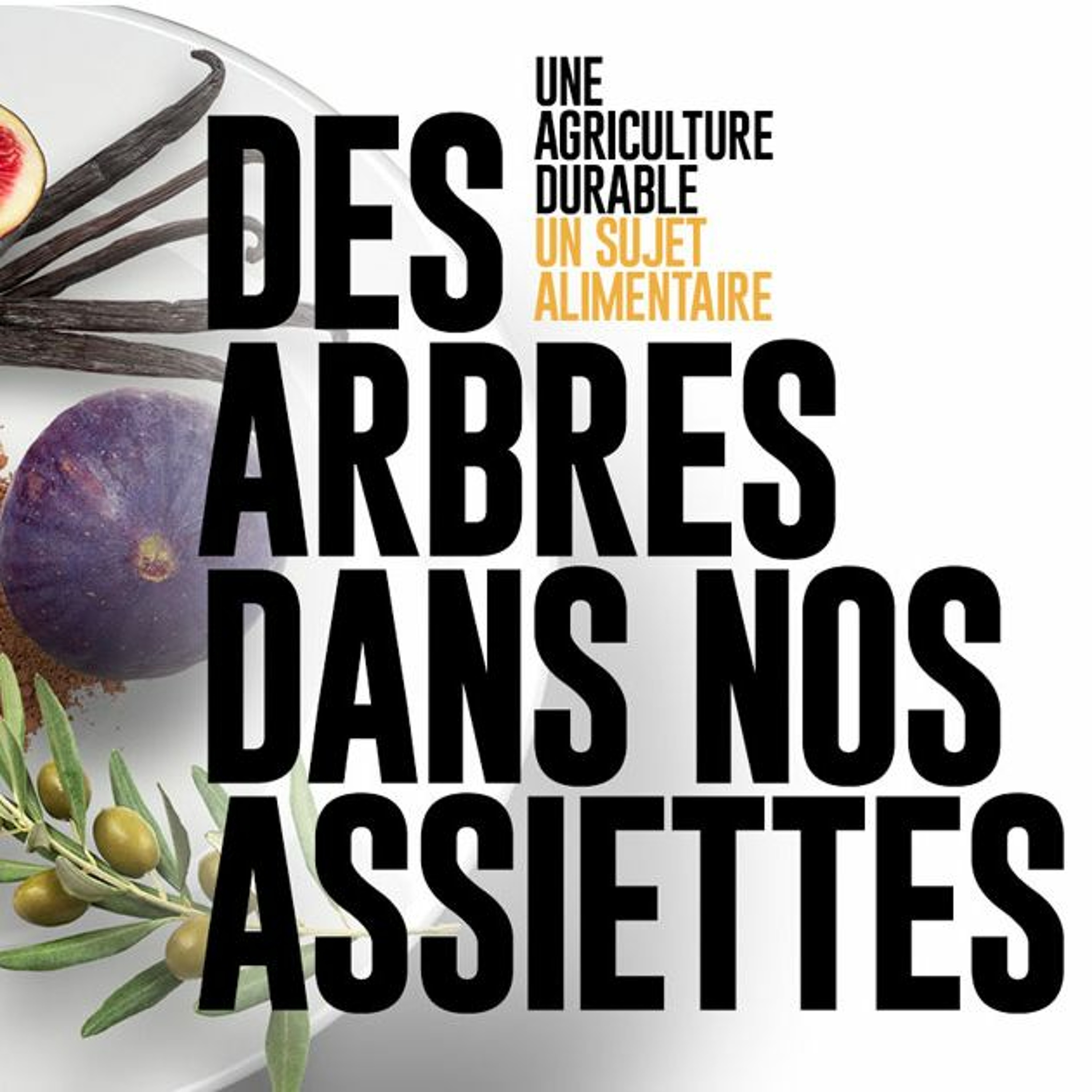 ActifsRadio, La radio de l\'ESS