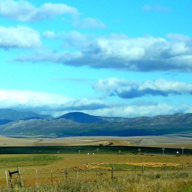 Mvuselelo Ngcoya & Danford Chibvongodze on Race, Food Justice, and Ubuntu in South Africa