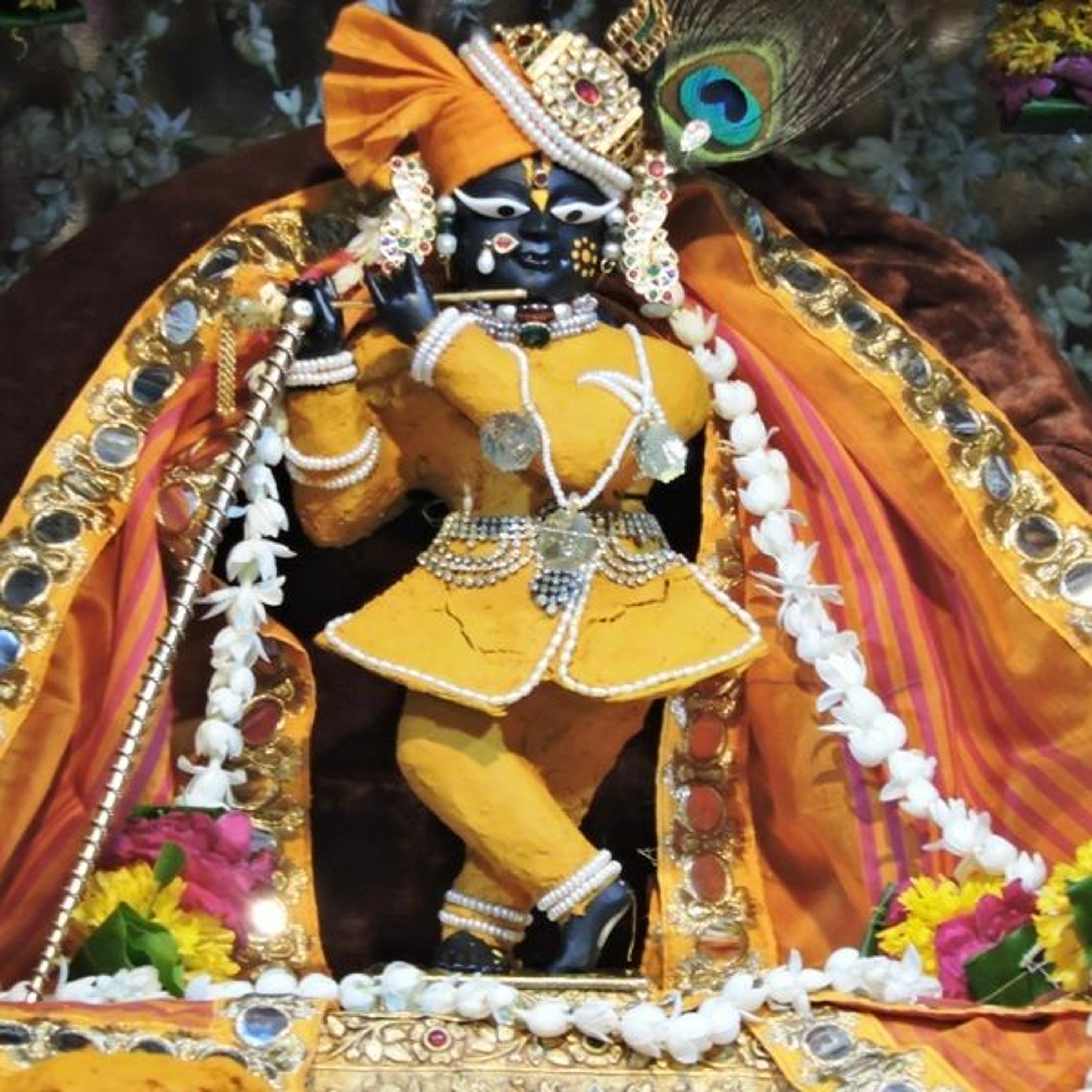 Radhanath Swami