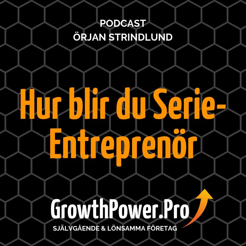 Hur Du Blir Serie - Entreprenör?