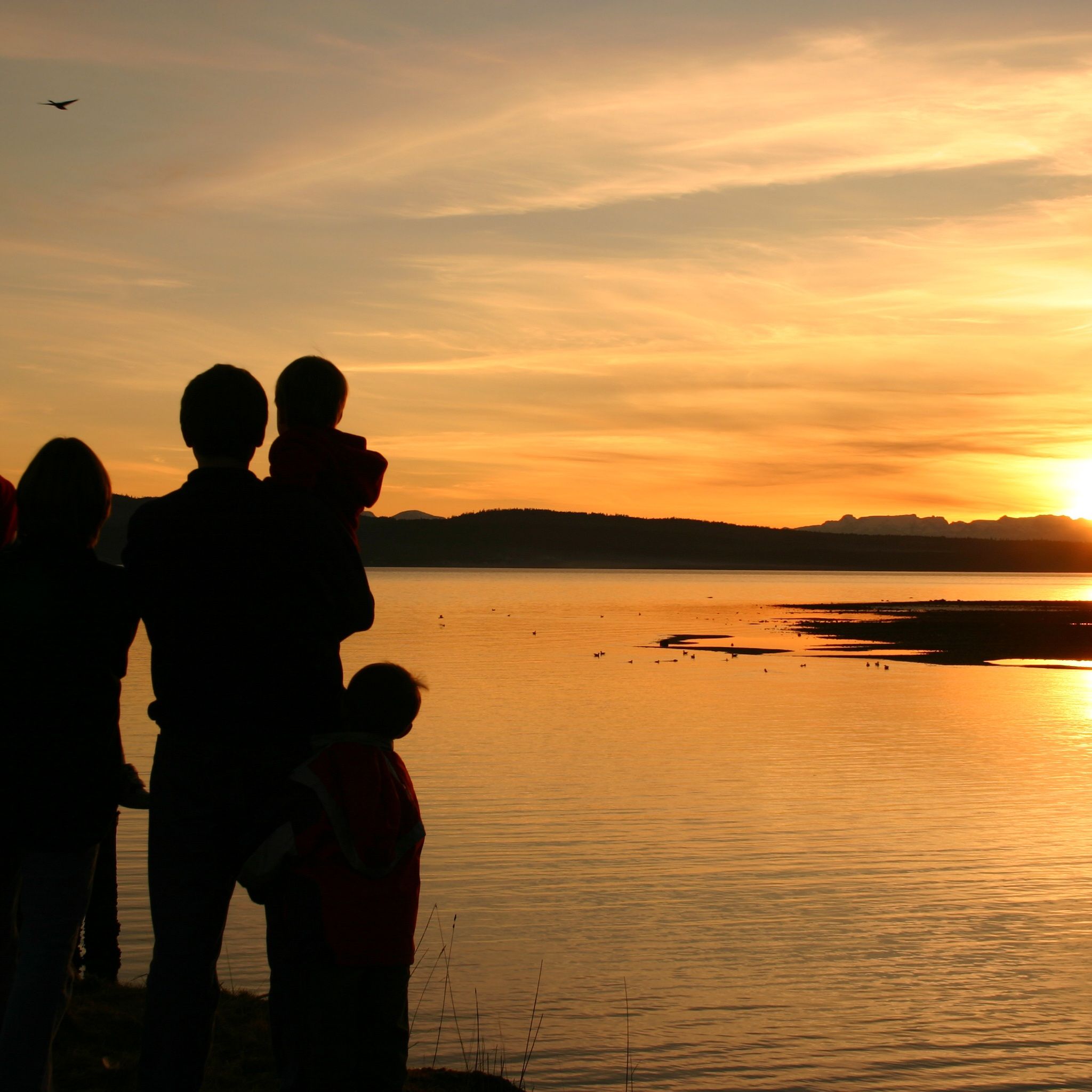 Episode 2 The Ins And Outs Of Making Bequests (English)