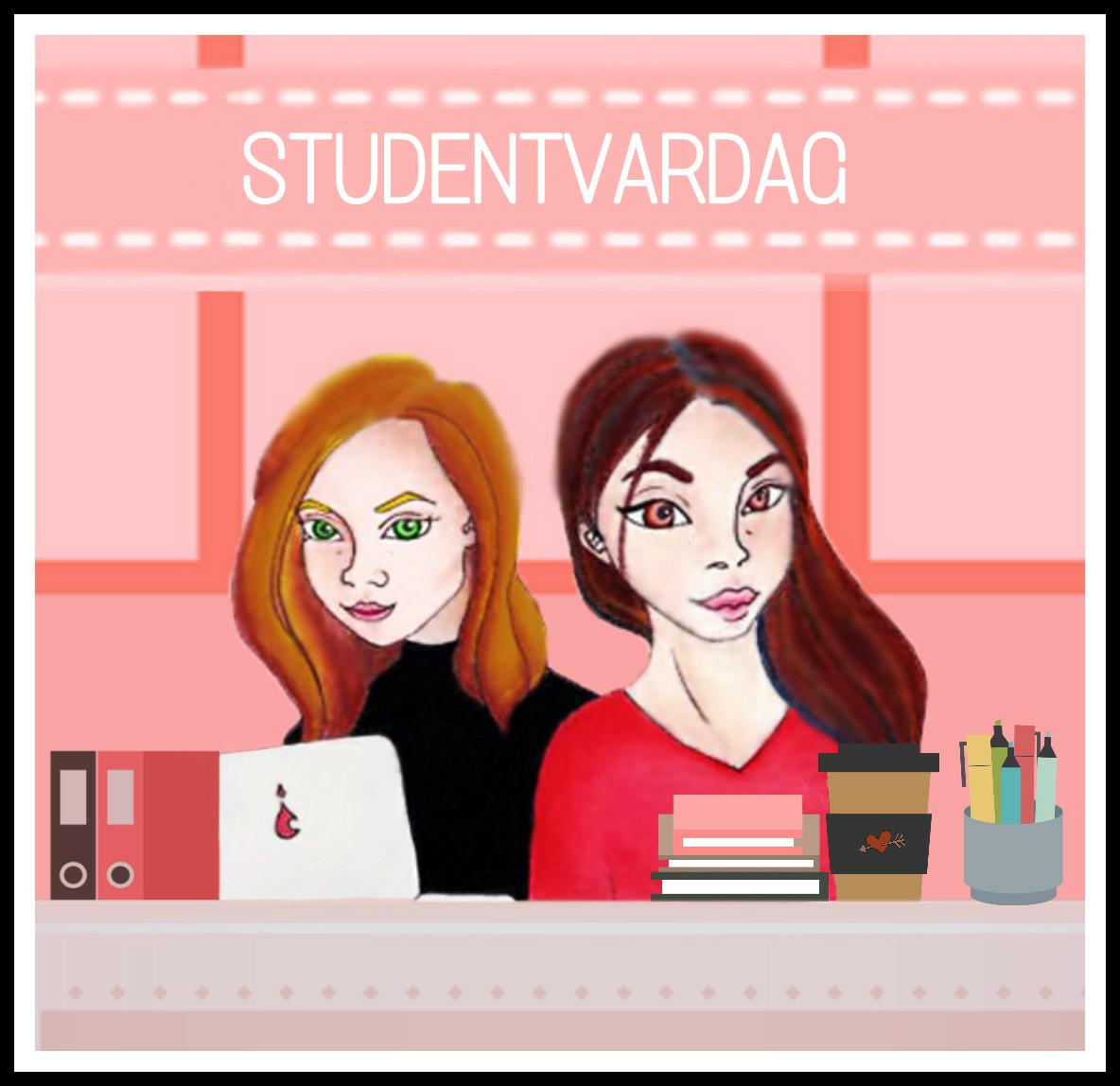 Systemutvecklare