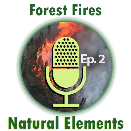 Researching Forest Fires (Natural Elements)