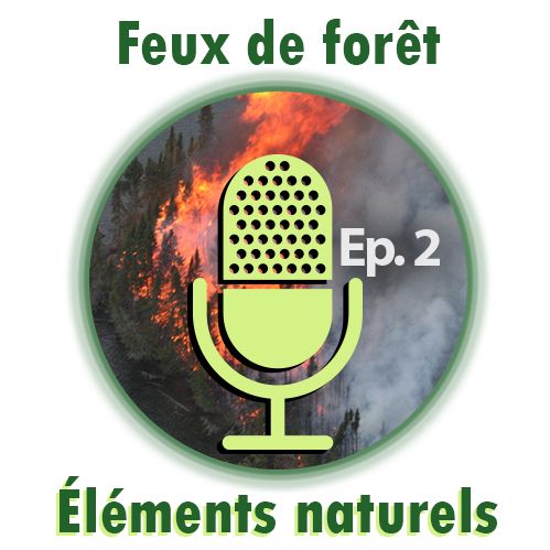 La recherche sur les feux de forêt (Éléments naturels)