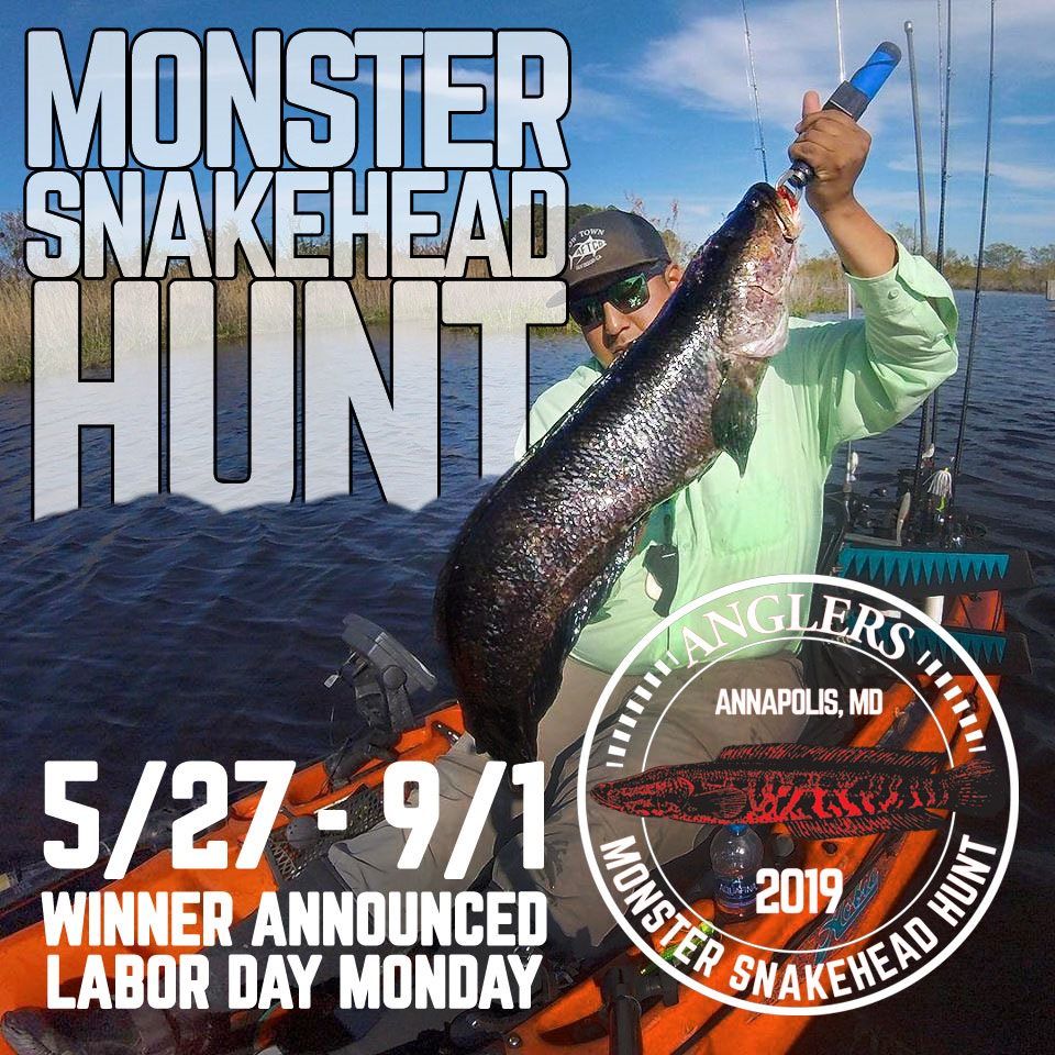 Episode 2 - Monster Snakehead Hunt