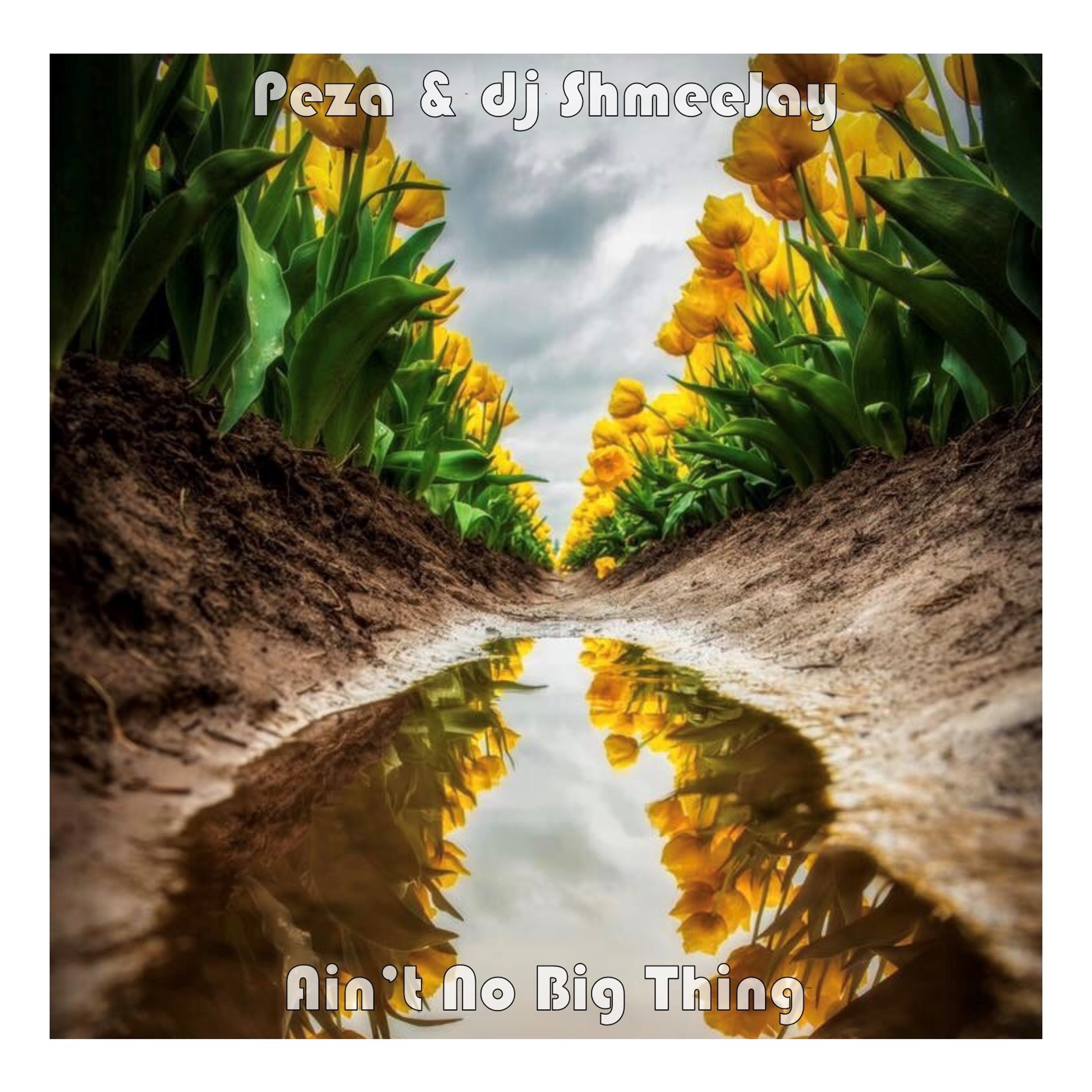 Ain\'t No Big Thing Radio Show
