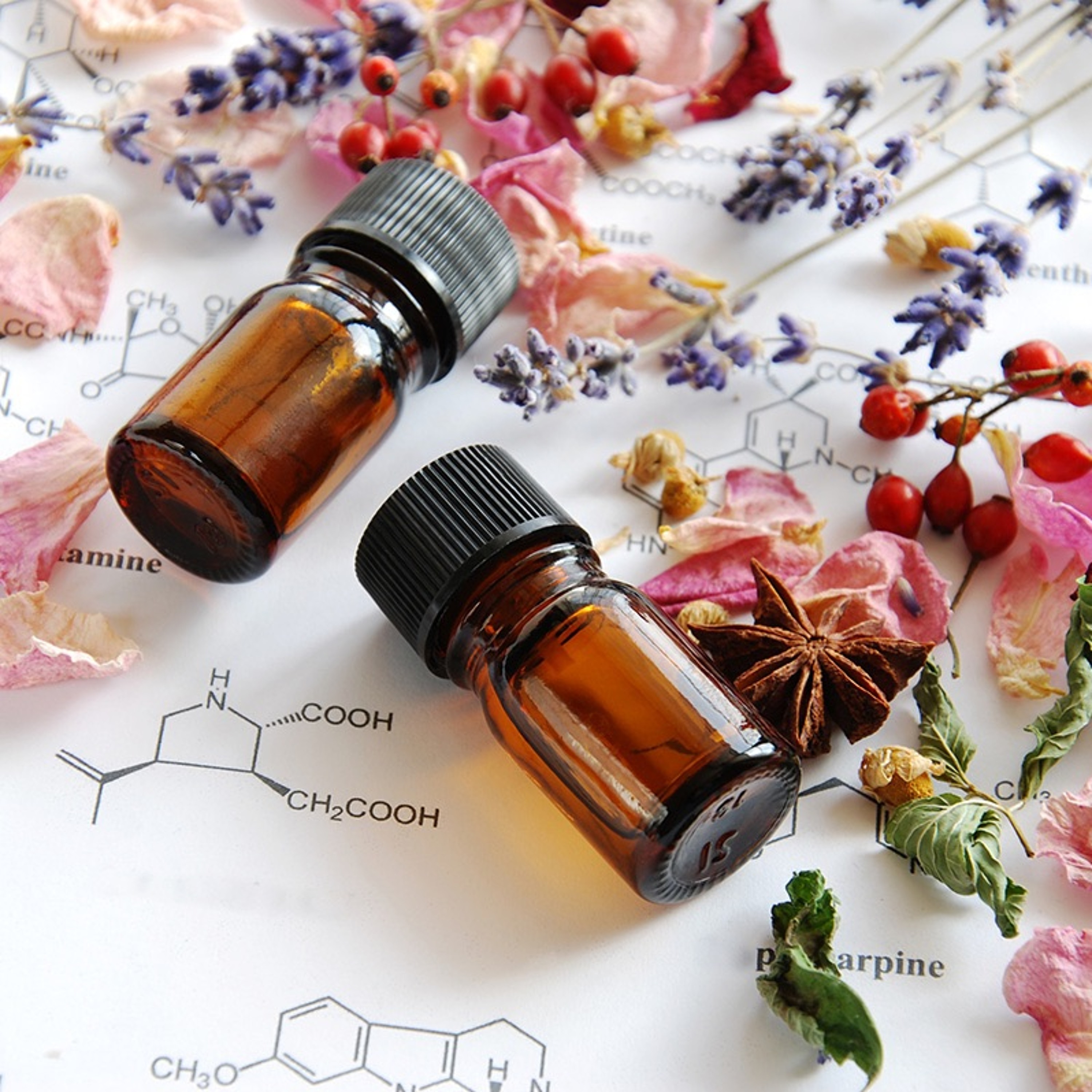 Health Science (For the Rest of Us!)