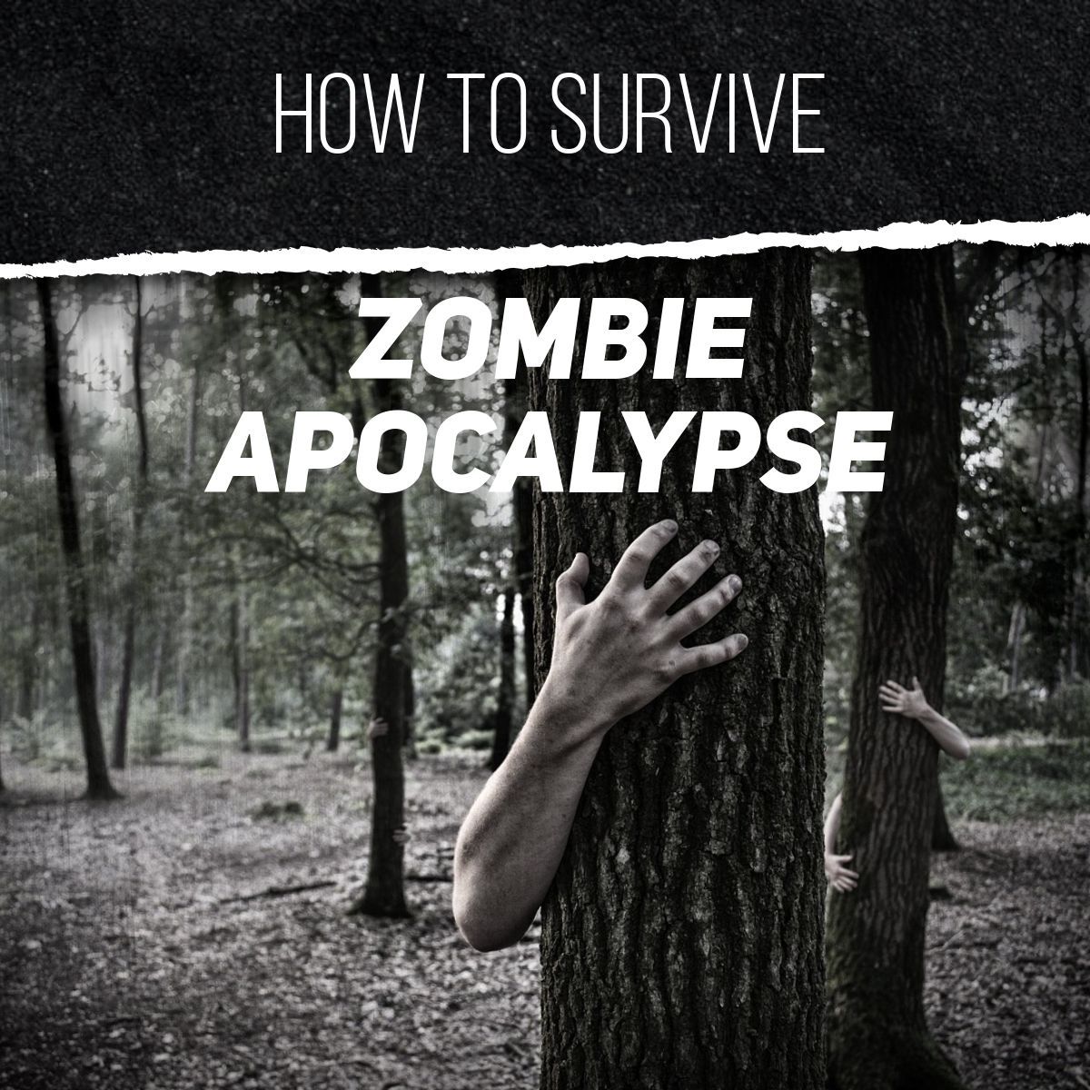 WMYH - Episode 39 - What If There Was A Zombie Apocalypse